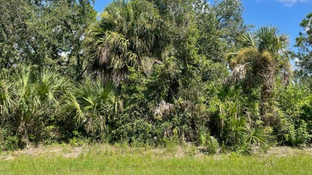 22026 CLINTON AVE, PORT CHARLOTTE, FL, 33954