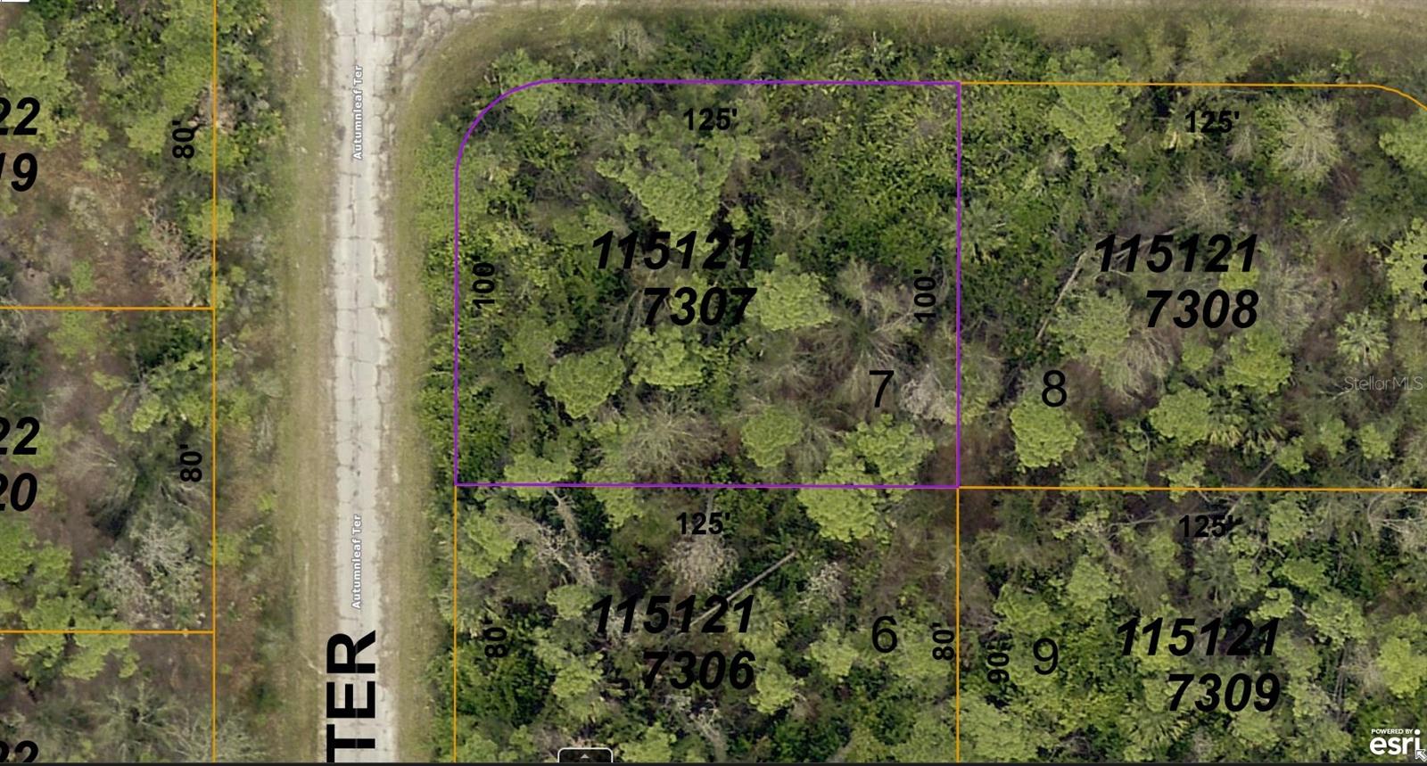 1151217307 PADEN LN, NORTH PORT, FL, 34288