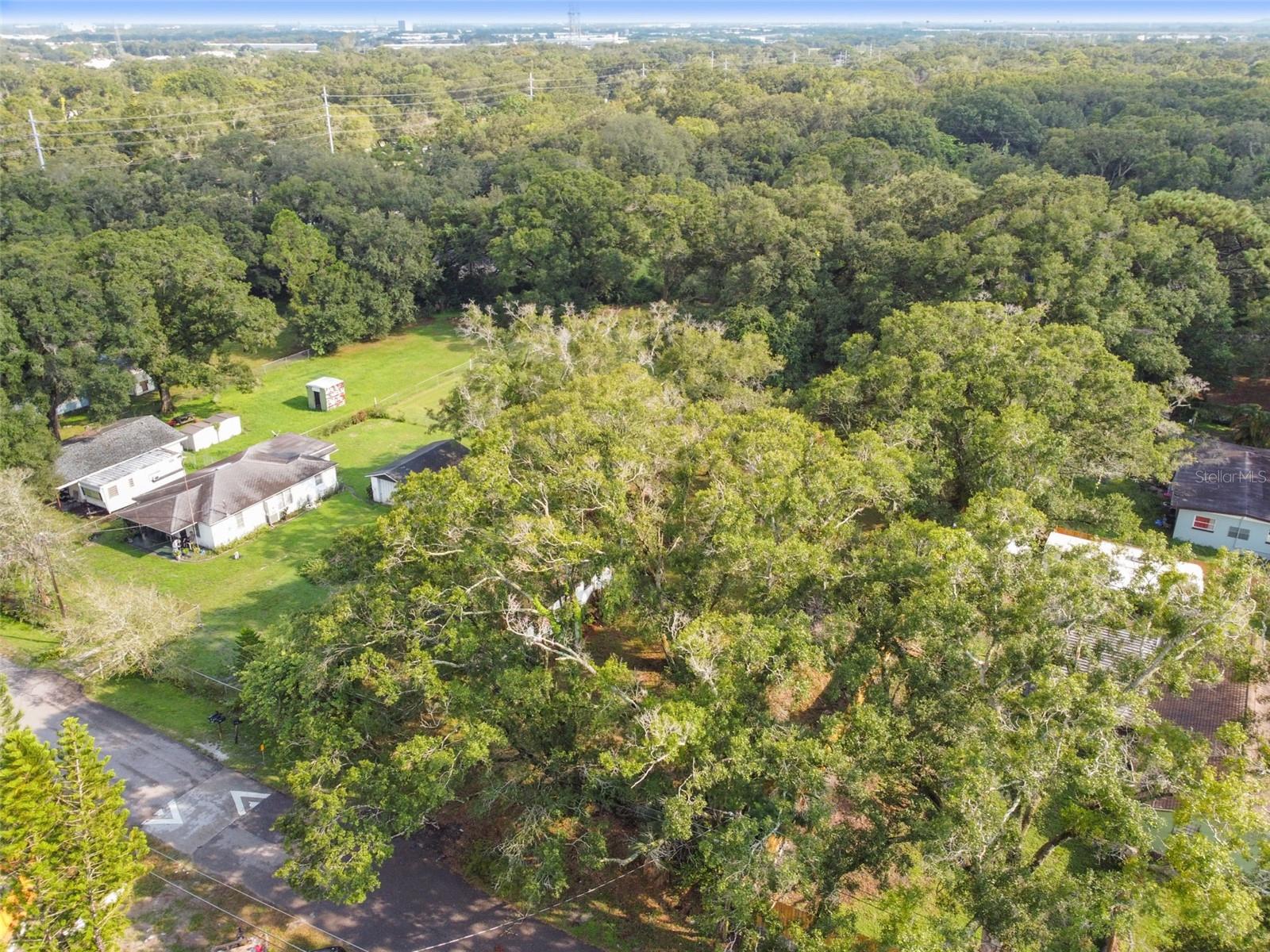 7207 WESTINGHOUSE AVE, TAMPA, FL, 33619