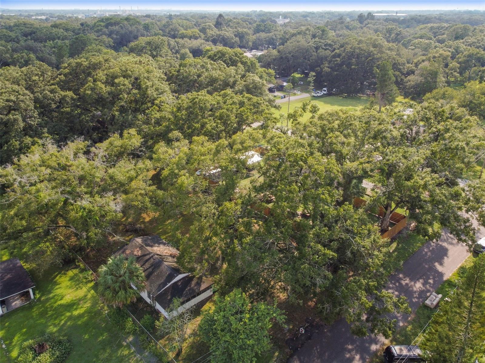 7207 WESTINGHOUSE AVE, TAMPA, FL, 33619