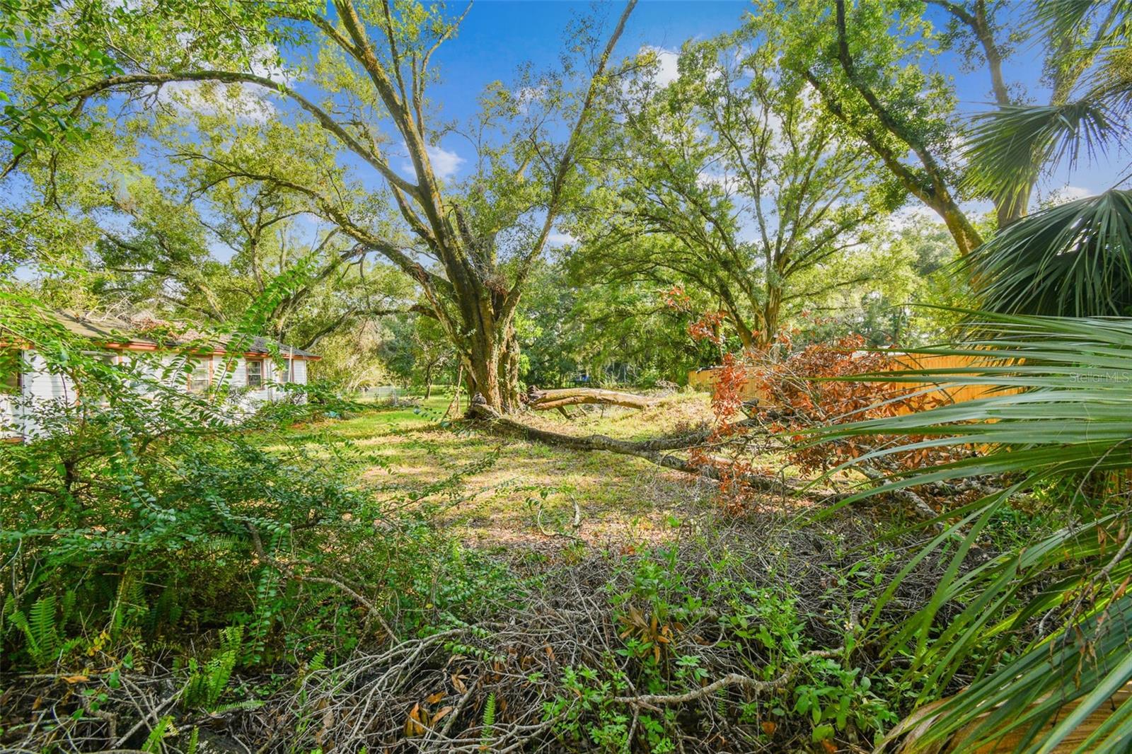 7207 WESTINGHOUSE AVE, TAMPA, FL, 33619
