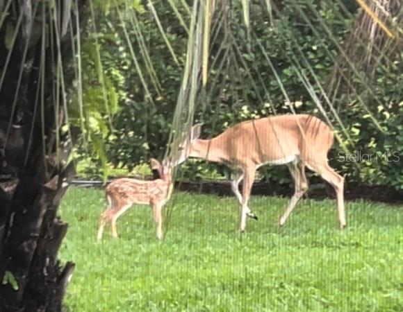 8549 GREENSIDE CT, SARASOTA, FL, 34241