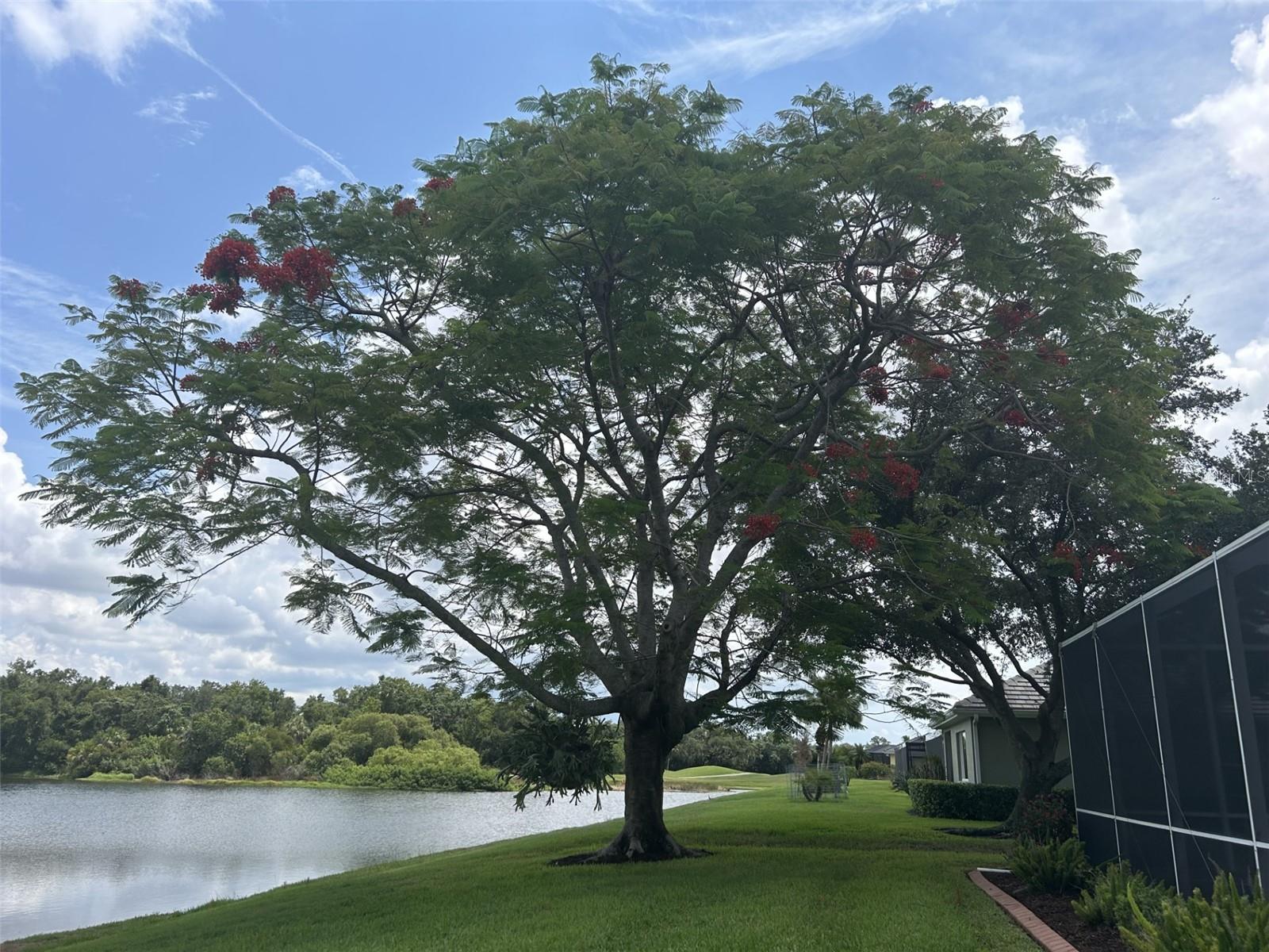 8549 GREENSIDE CT, SARASOTA, FL, 34241
