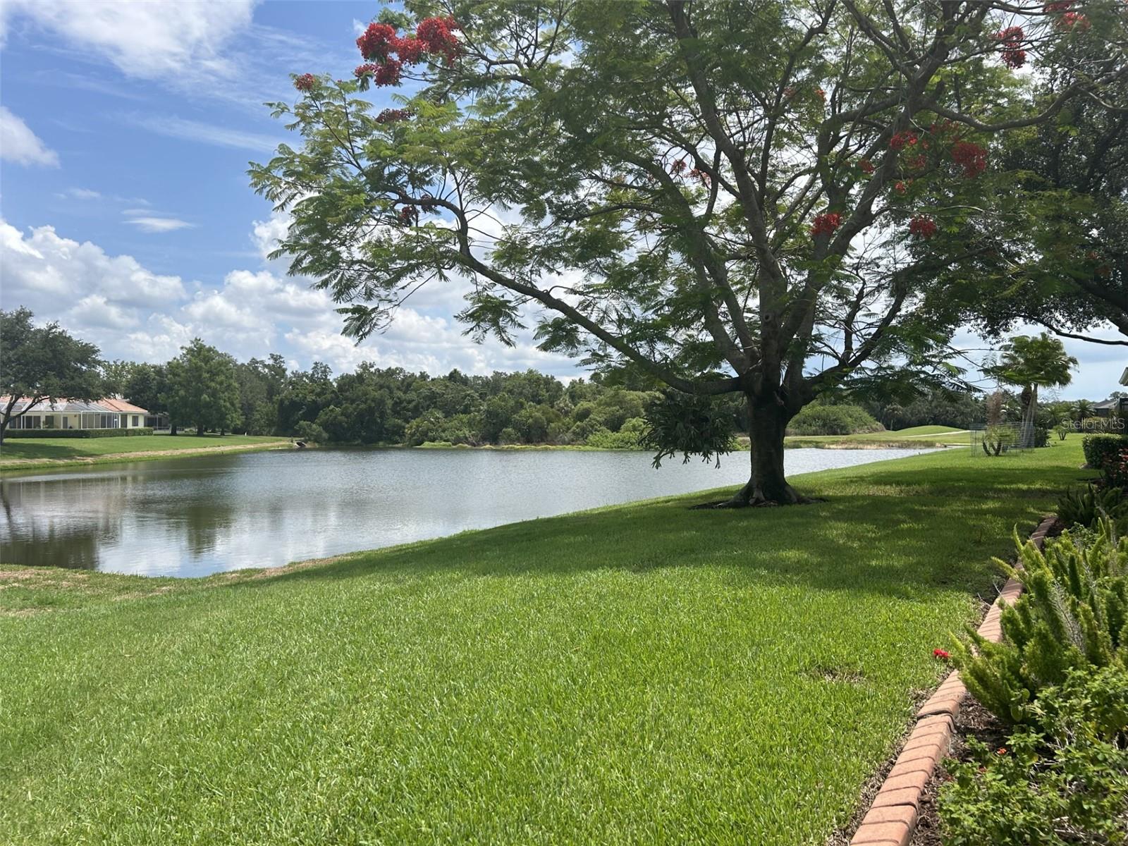8549 GREENSIDE CT, SARASOTA, FL, 34241