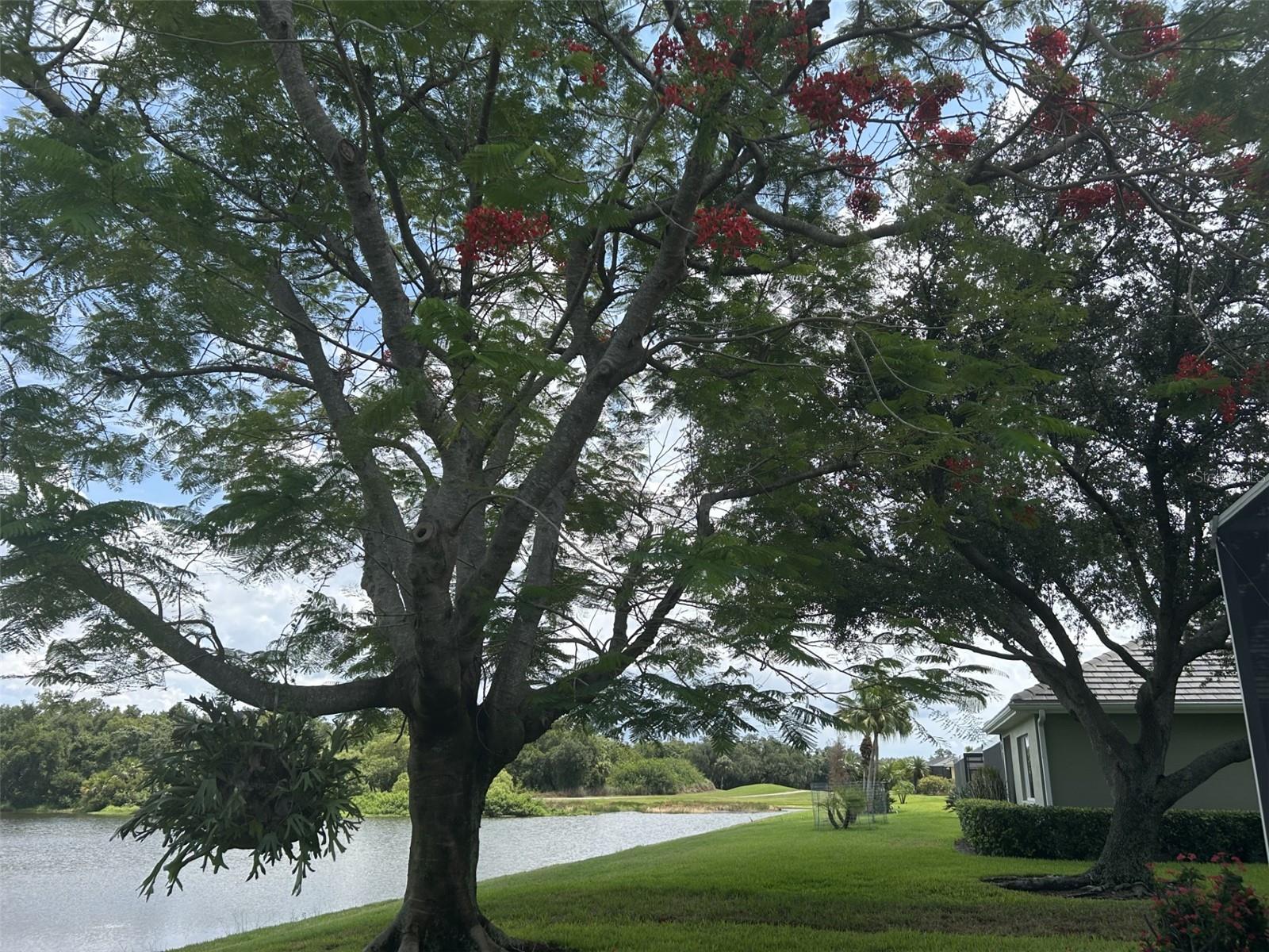 8549 GREENSIDE CT, SARASOTA, FL, 34241