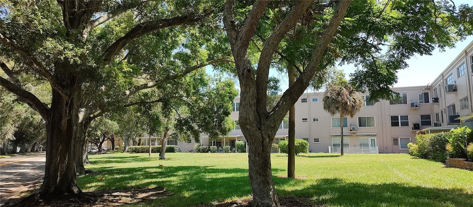 2436 RHODESIAN DR #42, CLEARWATER, FL, 33763