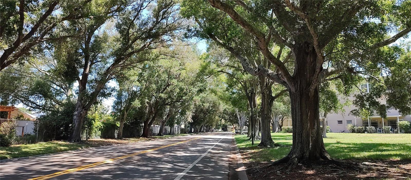 2436 RHODESIAN DR #42, CLEARWATER, FL, 33763