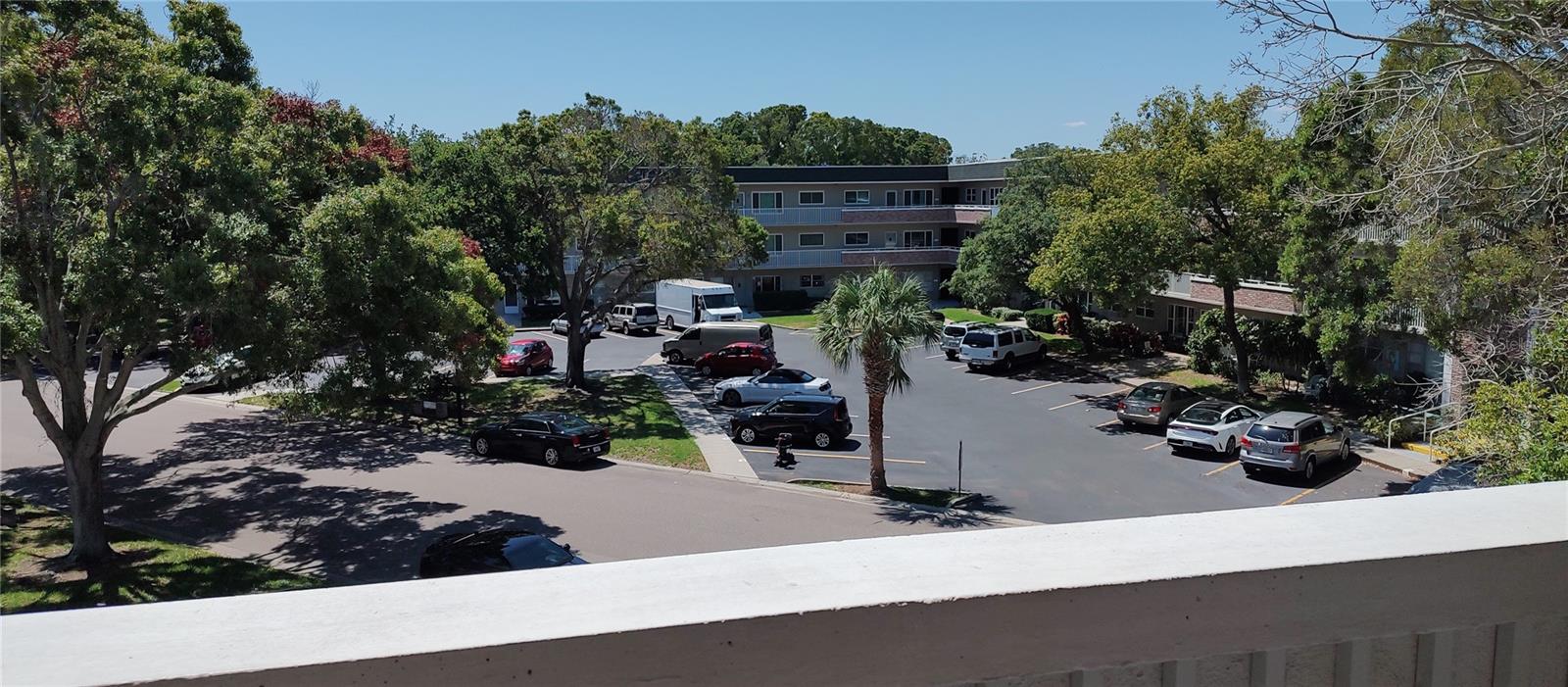 2436 RHODESIAN DR #42, CLEARWATER, FL, 33763
