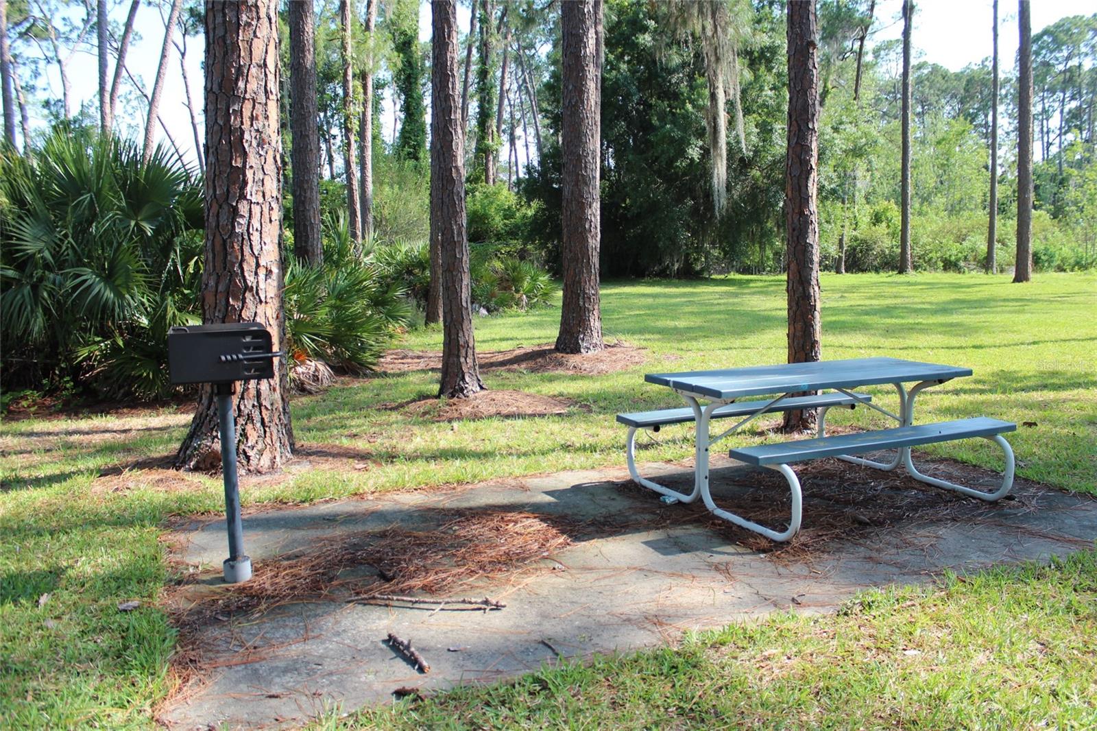 50989 HIGHWAY 27 LOT 317, DAVENPORT, FL, 33897