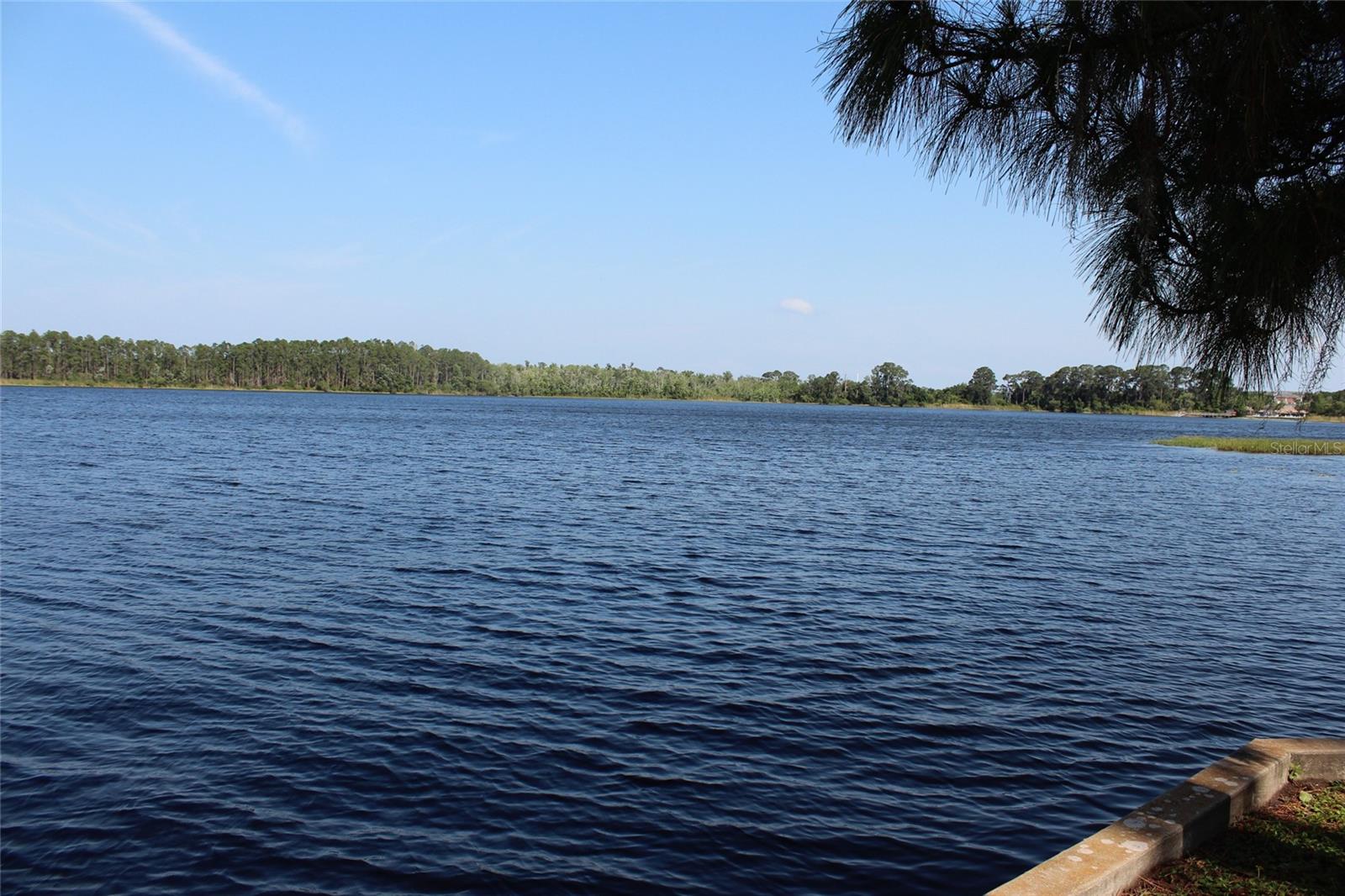 50989 HIGHWAY 27 LOT 317, DAVENPORT, FL, 33897
