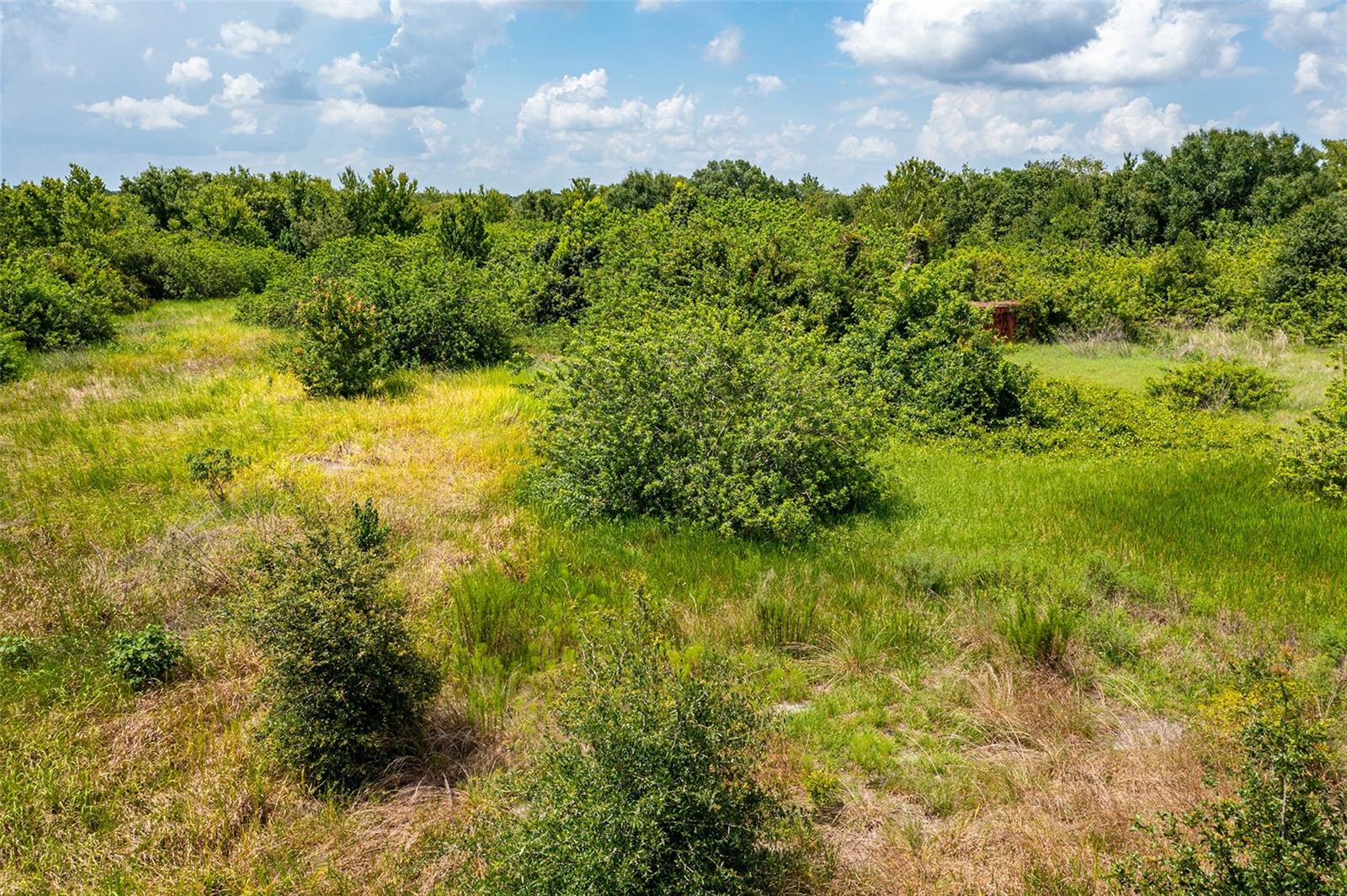 10800 BILL TUCKER RD, WIMAUMA, FL, 33598
