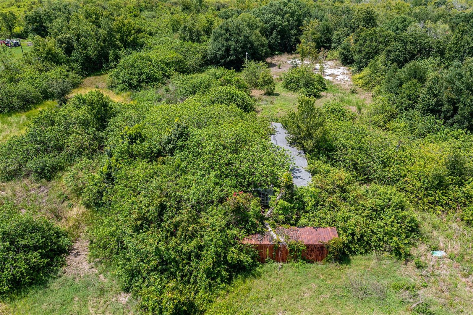 10800 BILL TUCKER RD, WIMAUMA, FL, 33598