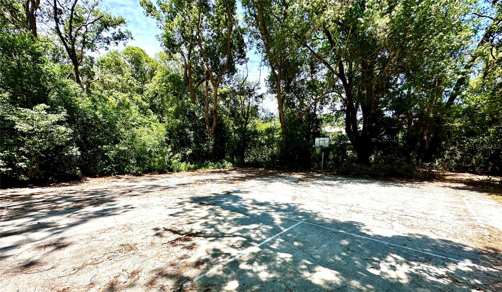 5015 DARLINGTON RD, HOLIDAY, FL, 34690