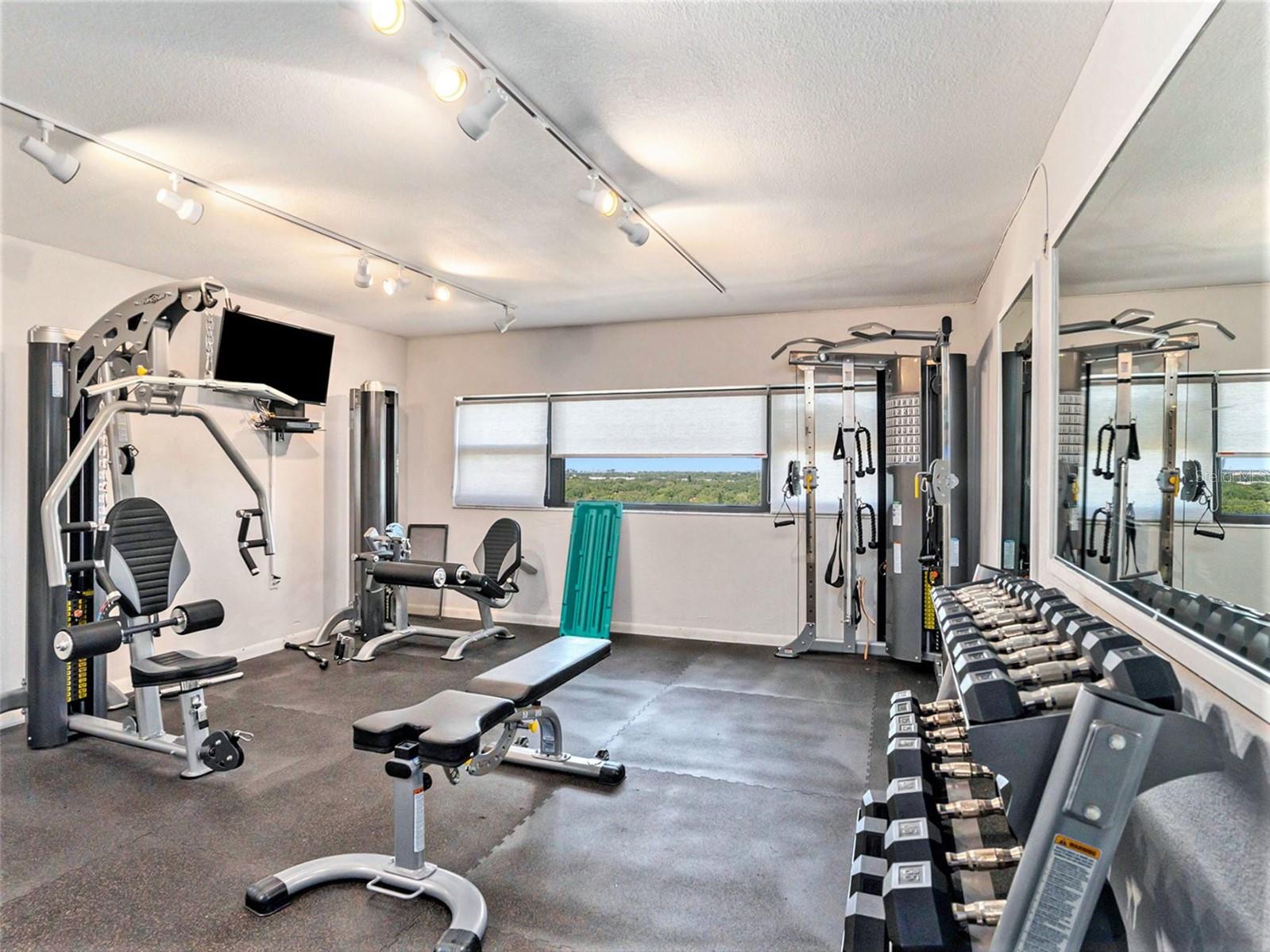 4141 BAYSHORE BLVD #1203, TAMPA, FL, 33611