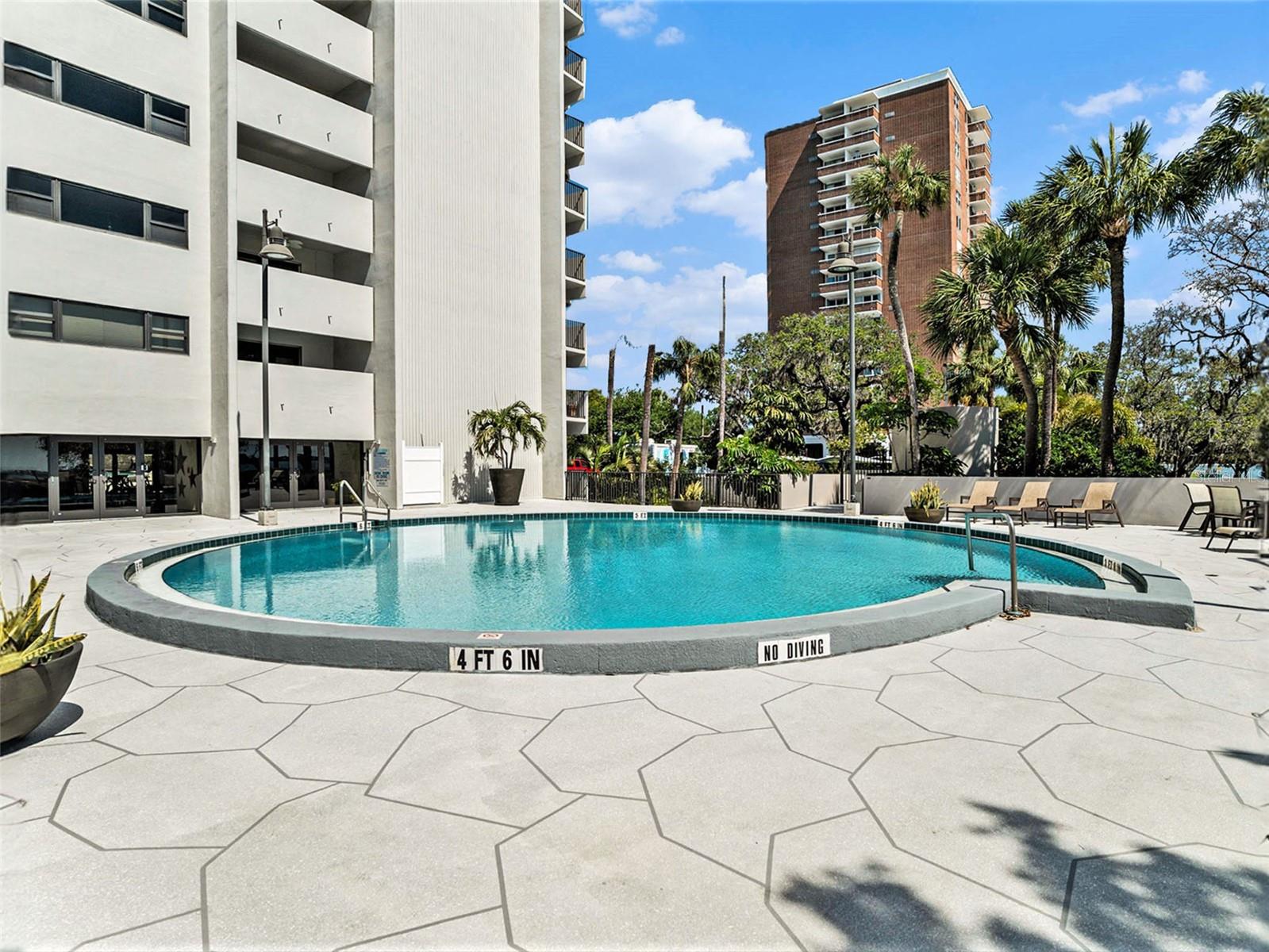 4141 BAYSHORE BLVD #1203, TAMPA, FL, 33611
