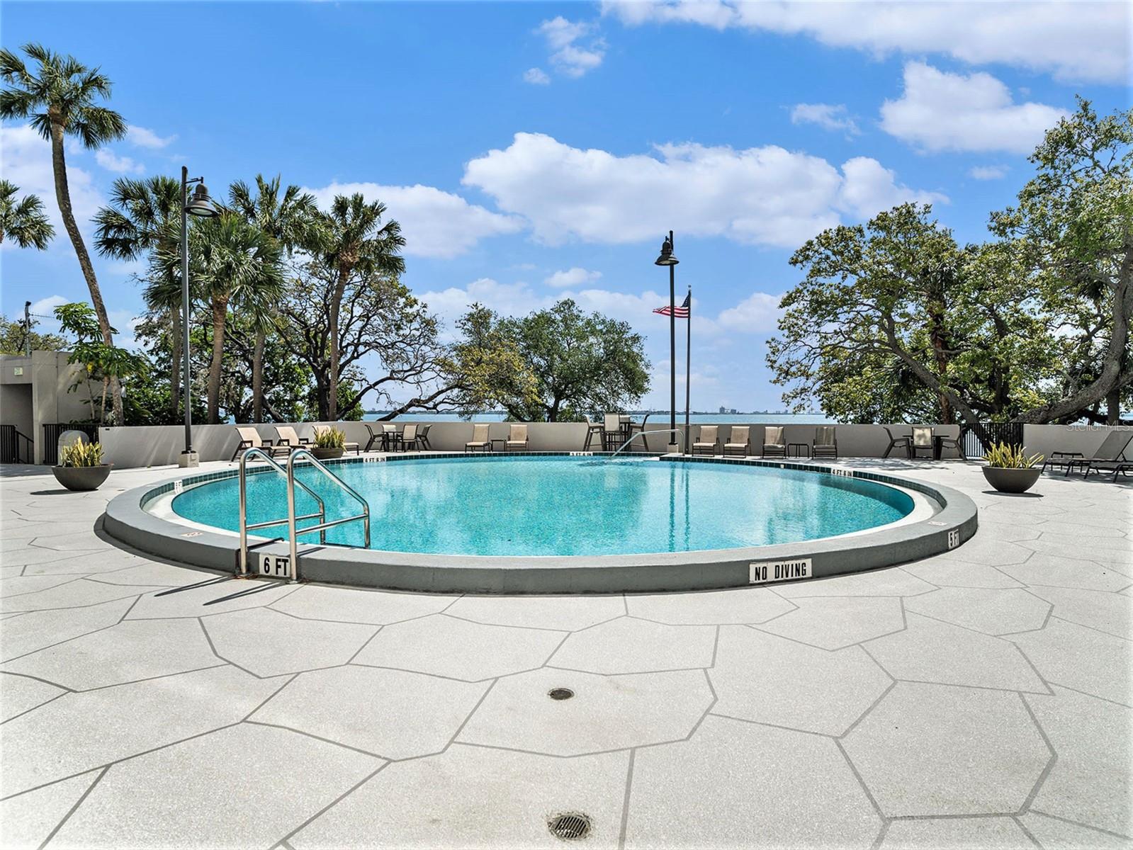 4141 BAYSHORE BLVD #1203, TAMPA, FL, 33611