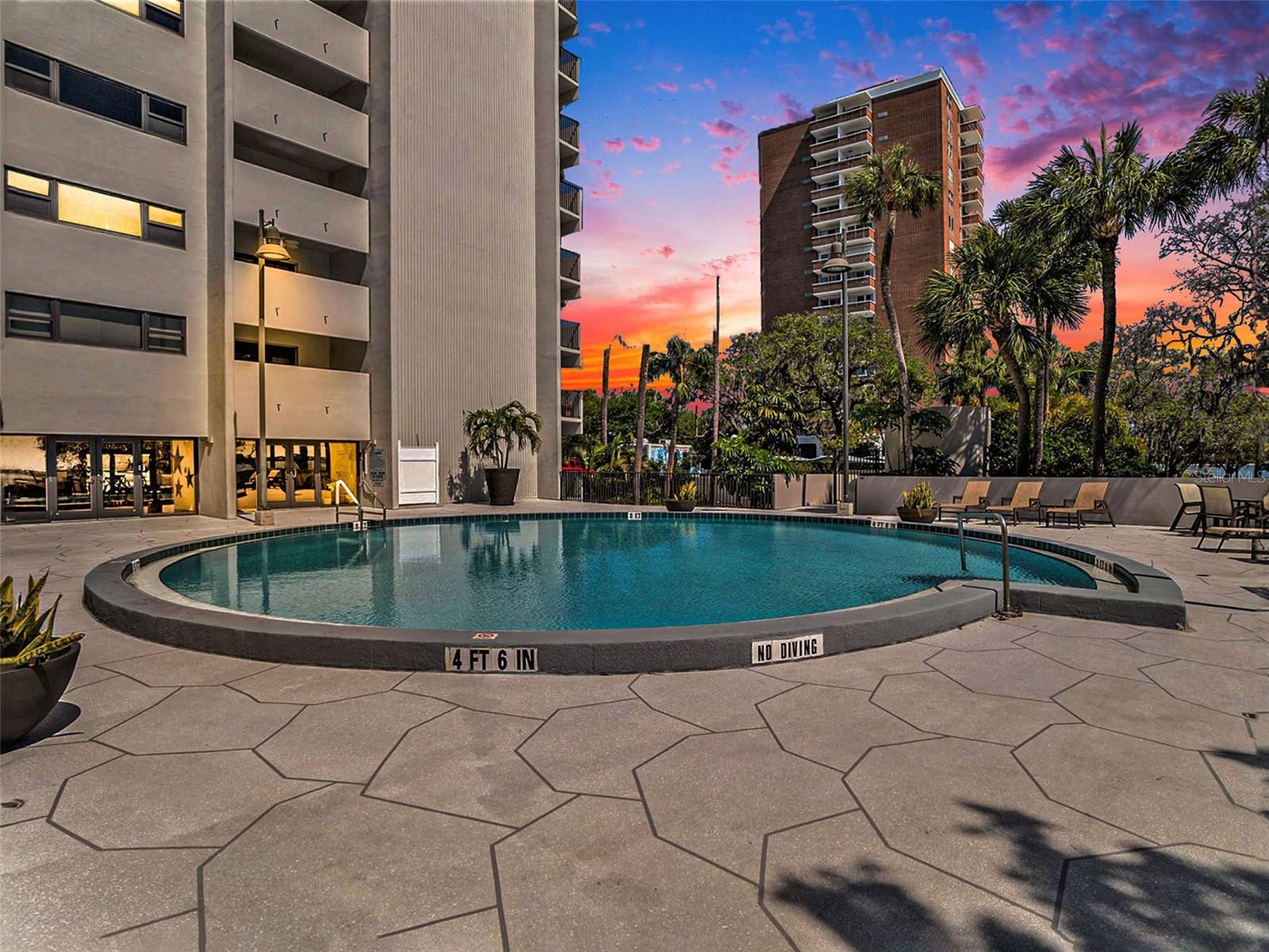 4141 BAYSHORE BLVD #1203, TAMPA, FL, 33611