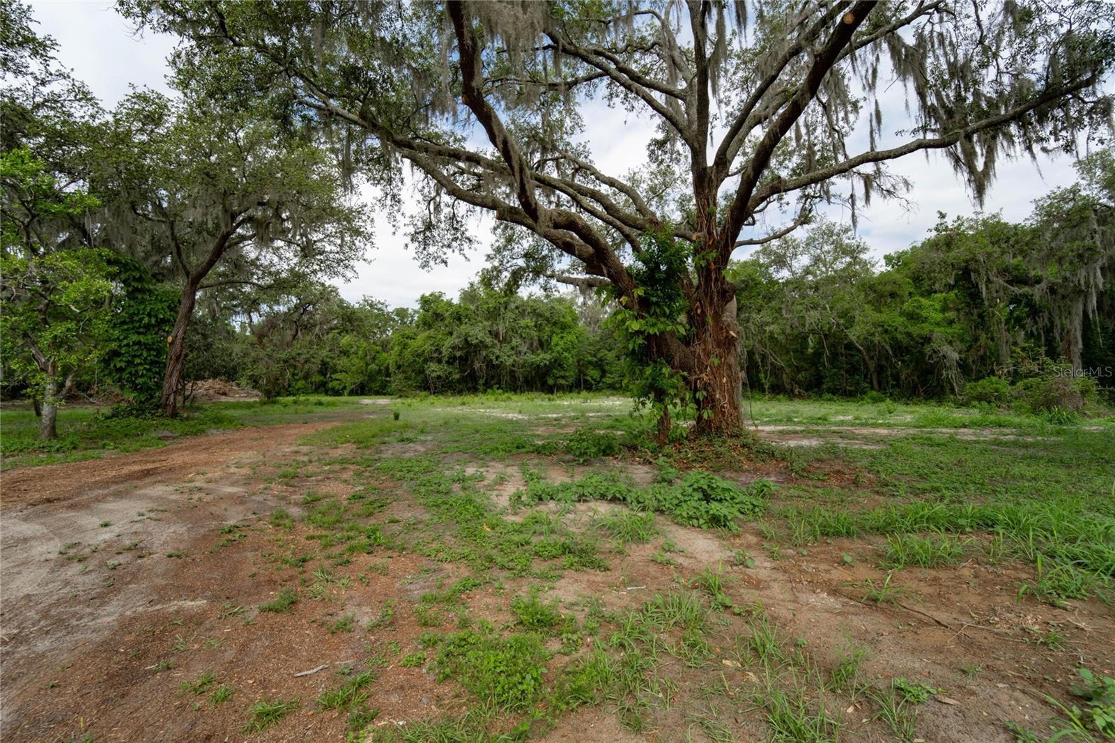 7813 VALRIE LN, RIVERVIEW, FL, 33569