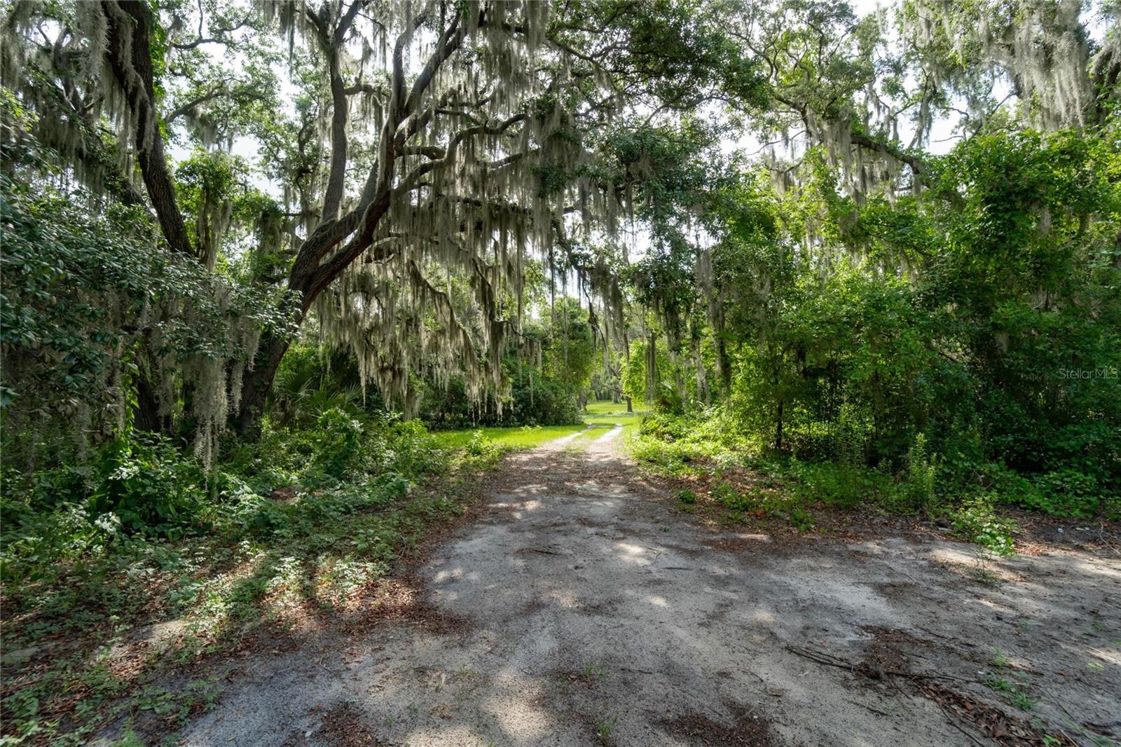 7813 VALRIE LN, RIVERVIEW, FL, 33569