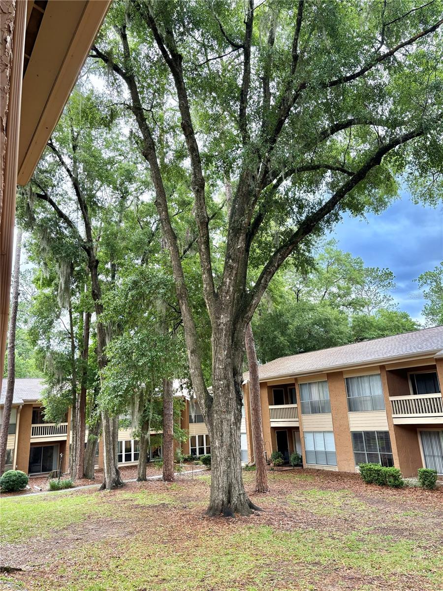 1810 NW 23RD BLVD #196, GAINESVILLE, FL, 32605