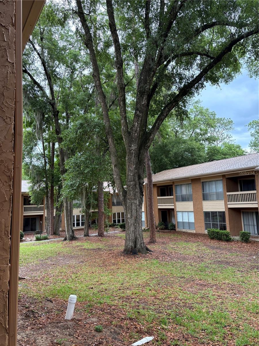 1810 NW 23RD BLVD #196, GAINESVILLE, FL, 32605