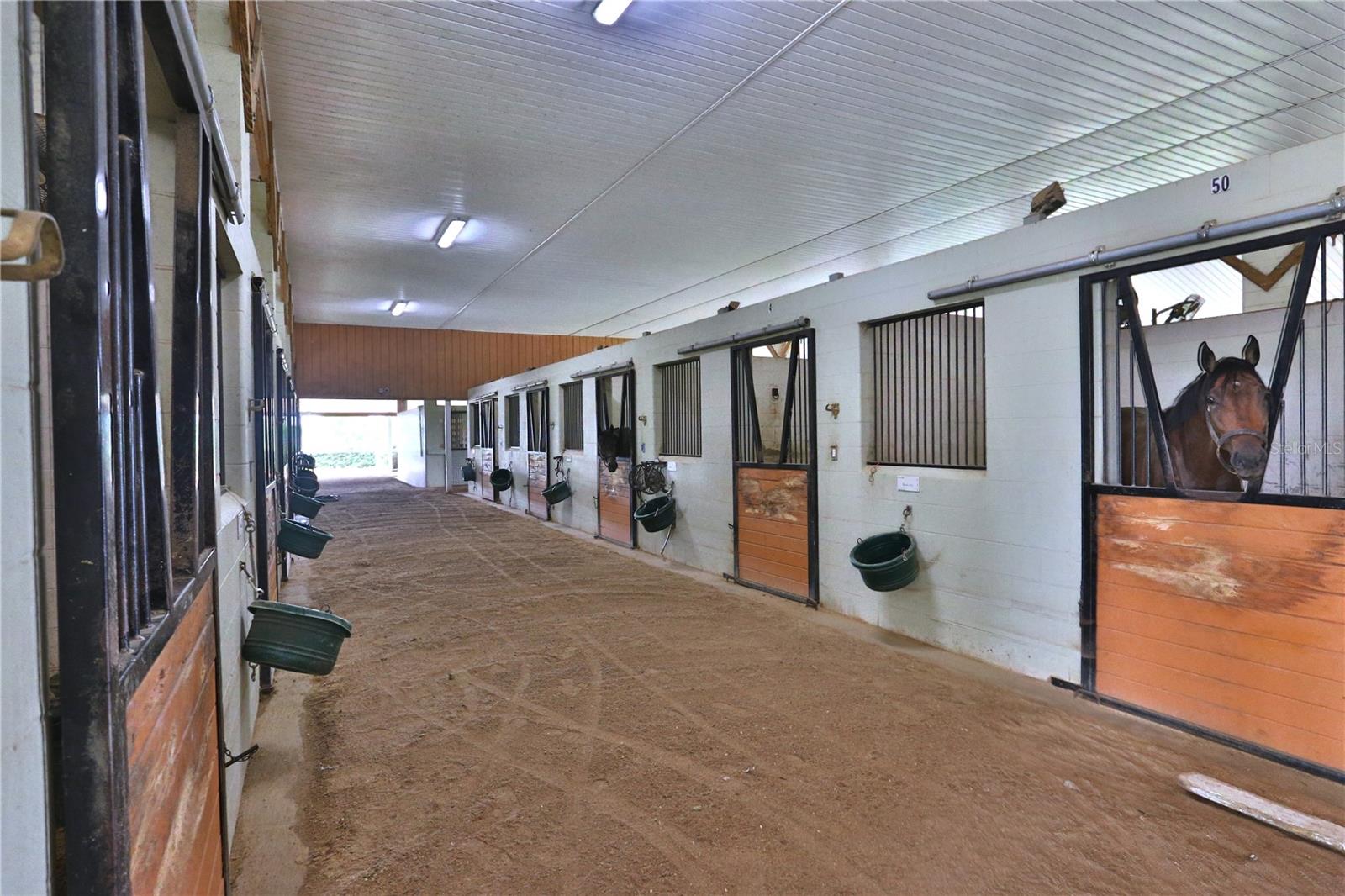 OM679092 Property Photo