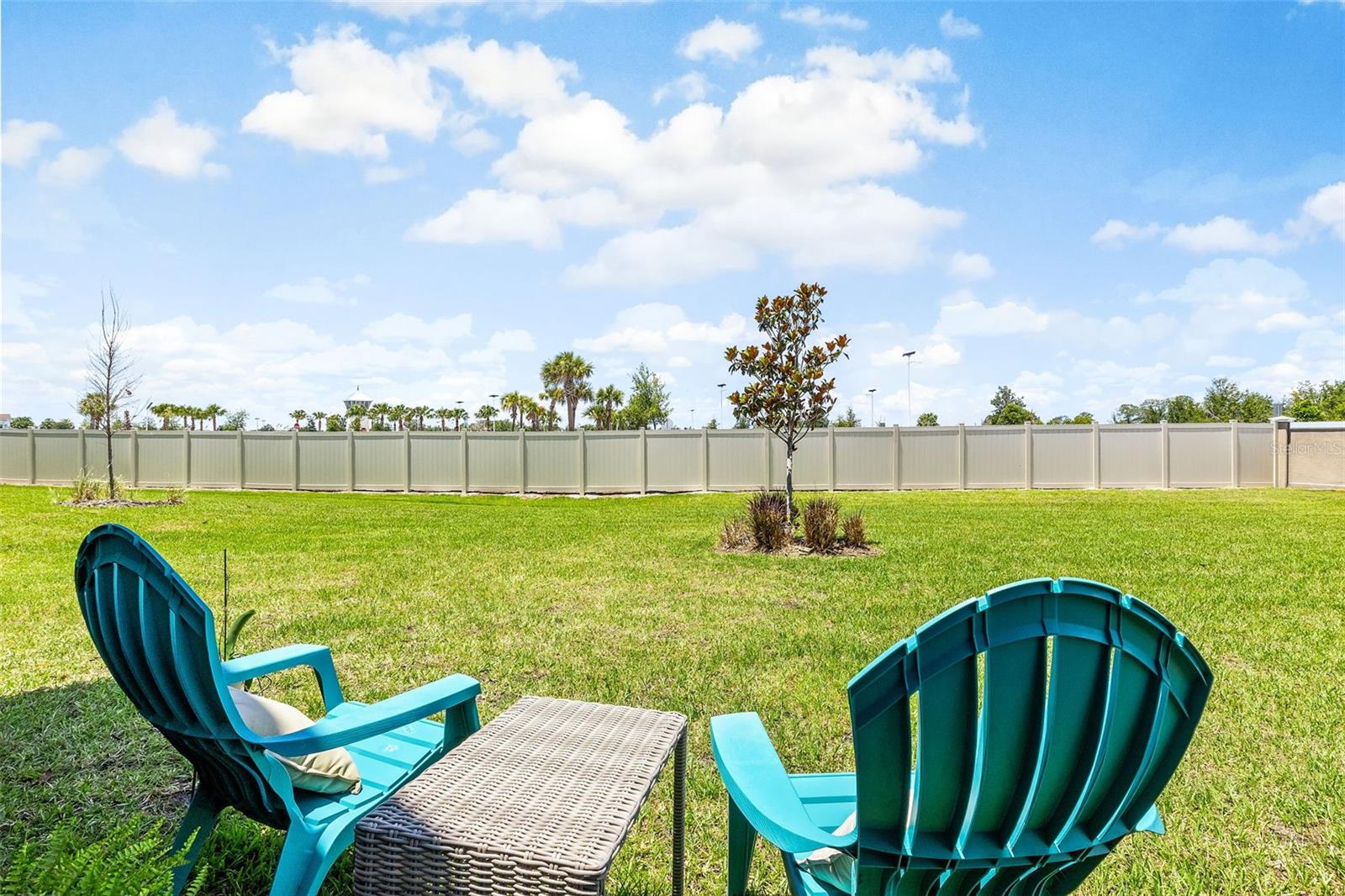 31807 BLUE PASSING LOOP, WESLEY CHAPEL, FL, 33545