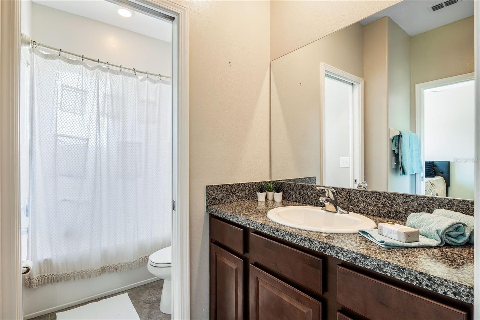 31807 BLUE PASSING LOOP, WESLEY CHAPEL, FL, 33545