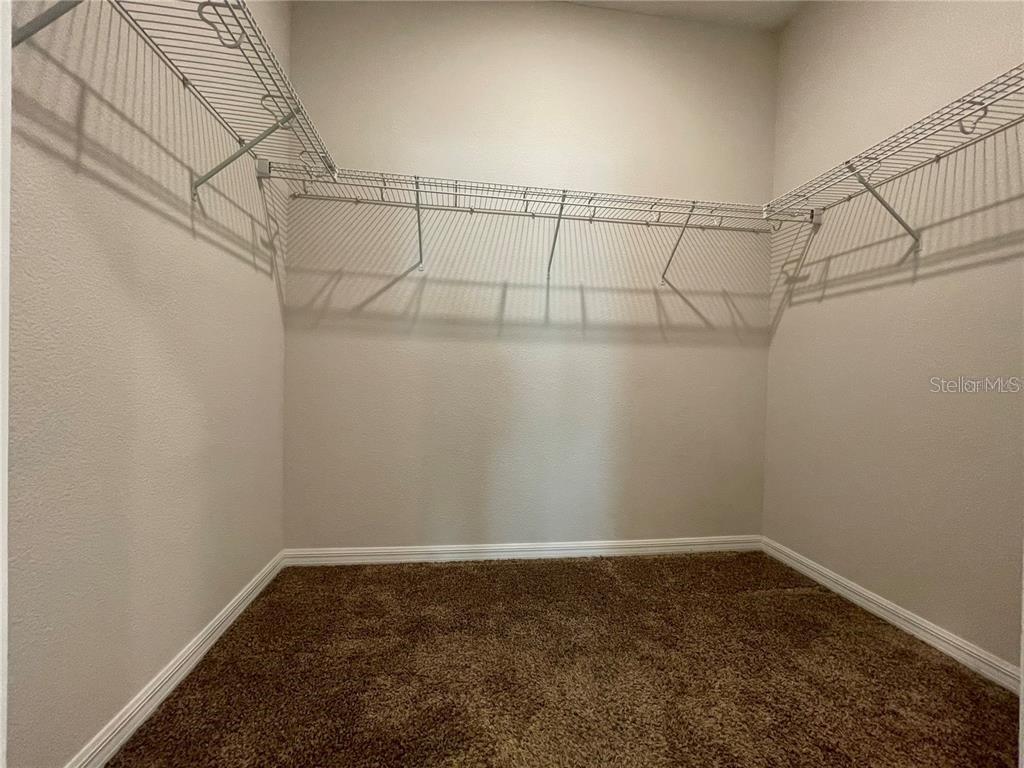 14154 DOVE HOLLOW DR, ORLANDO, FL, 32824