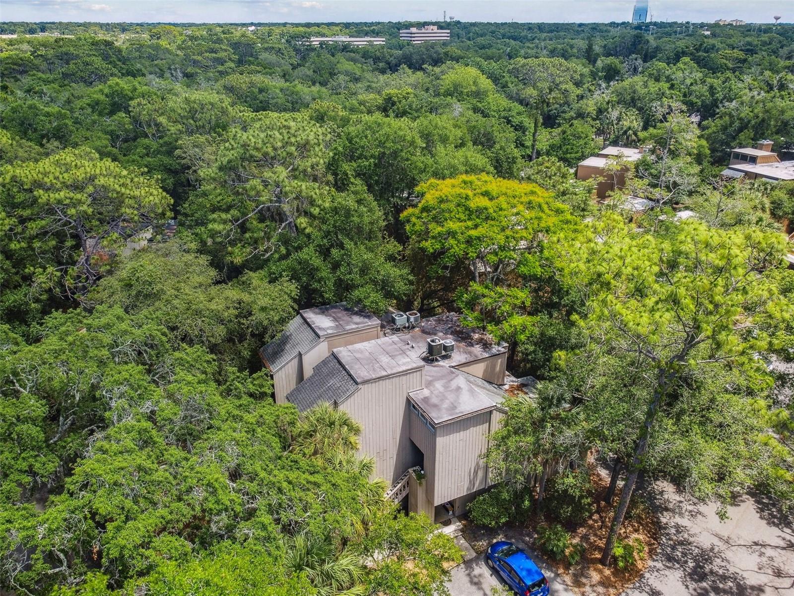 213 CROWN OAKS WAY #213, LONGWOOD, FL, 32779