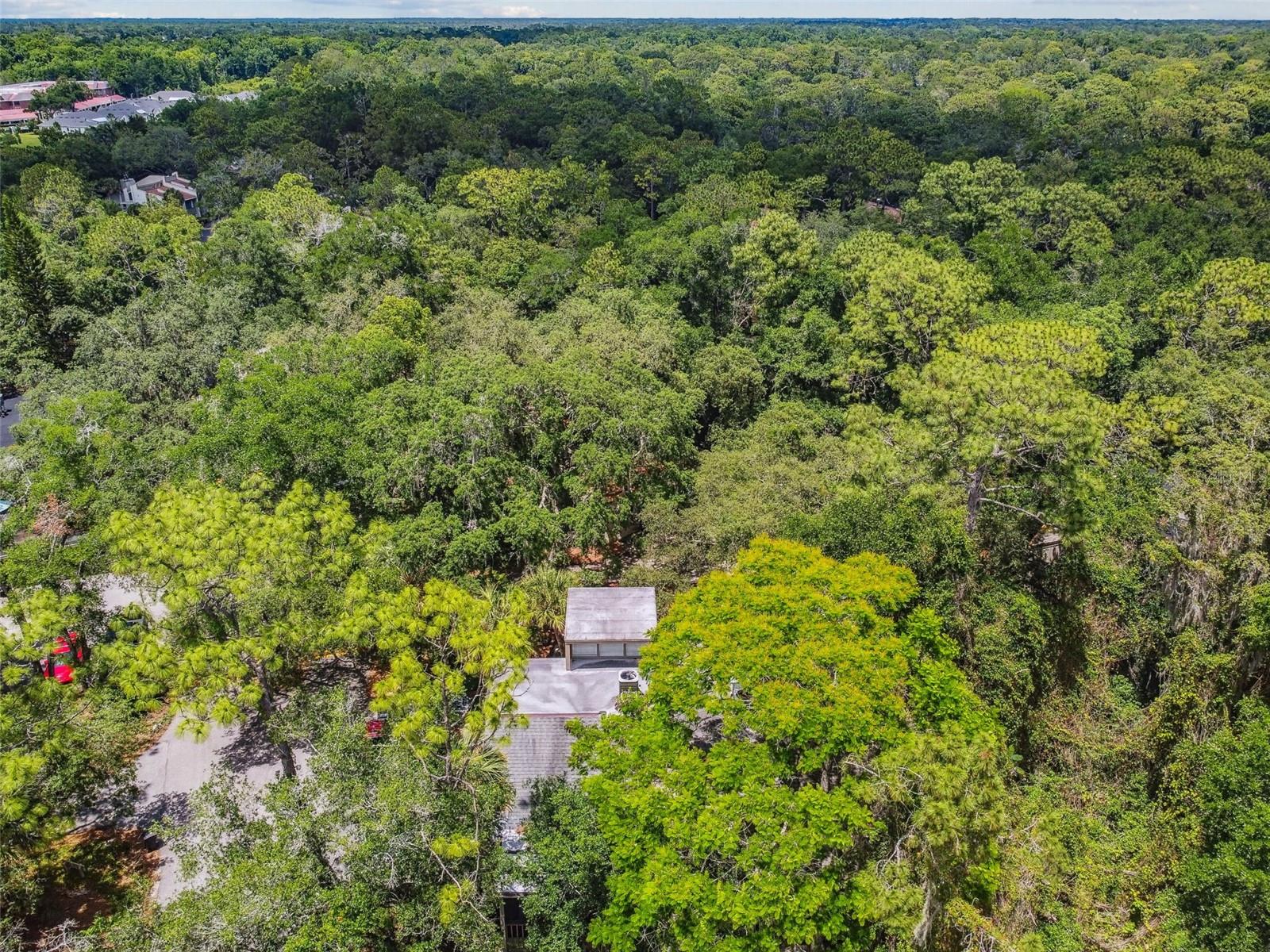 213 CROWN OAKS WAY #213, LONGWOOD, FL, 32779