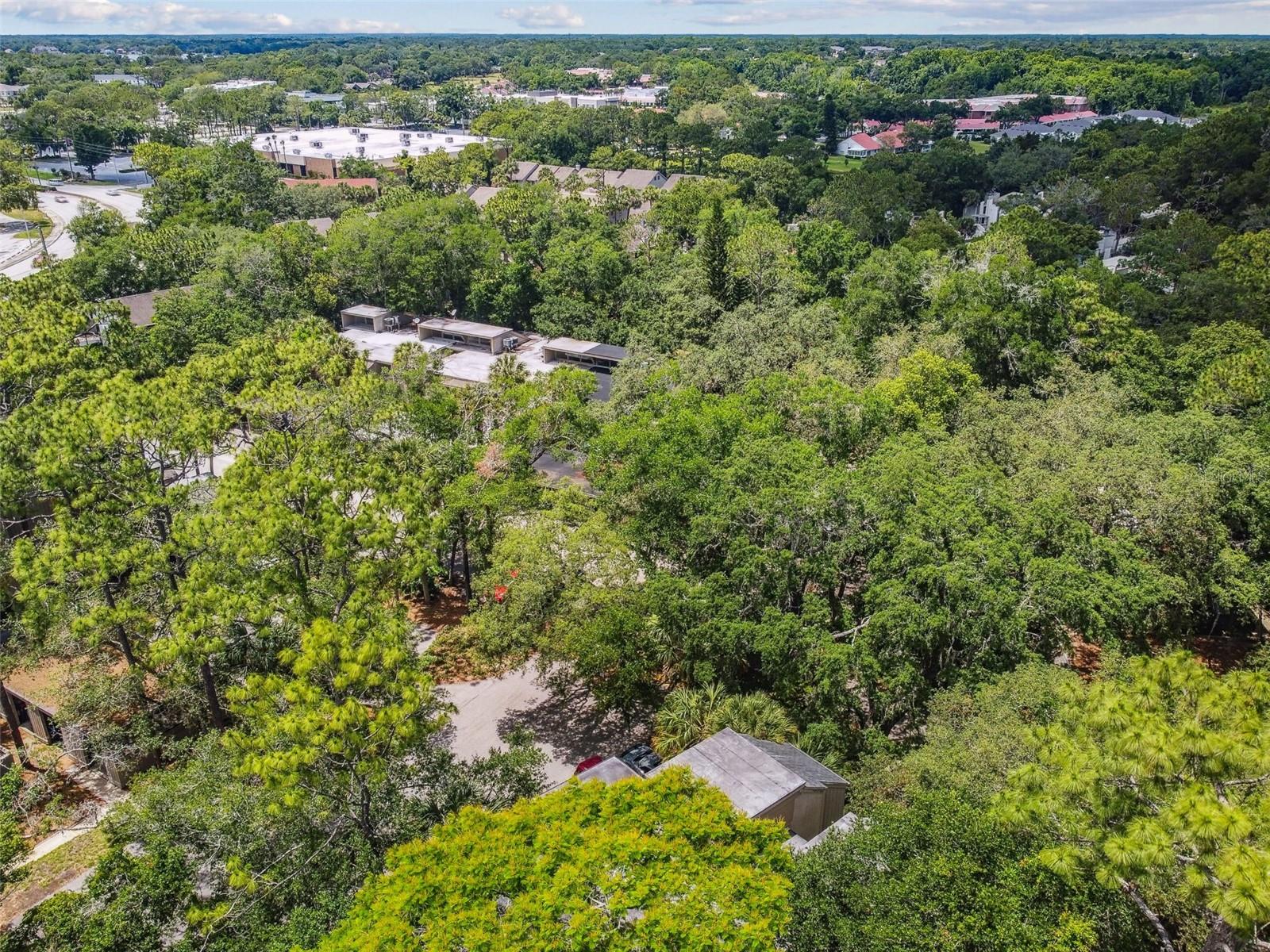 213 CROWN OAKS WAY #213, LONGWOOD, FL, 32779