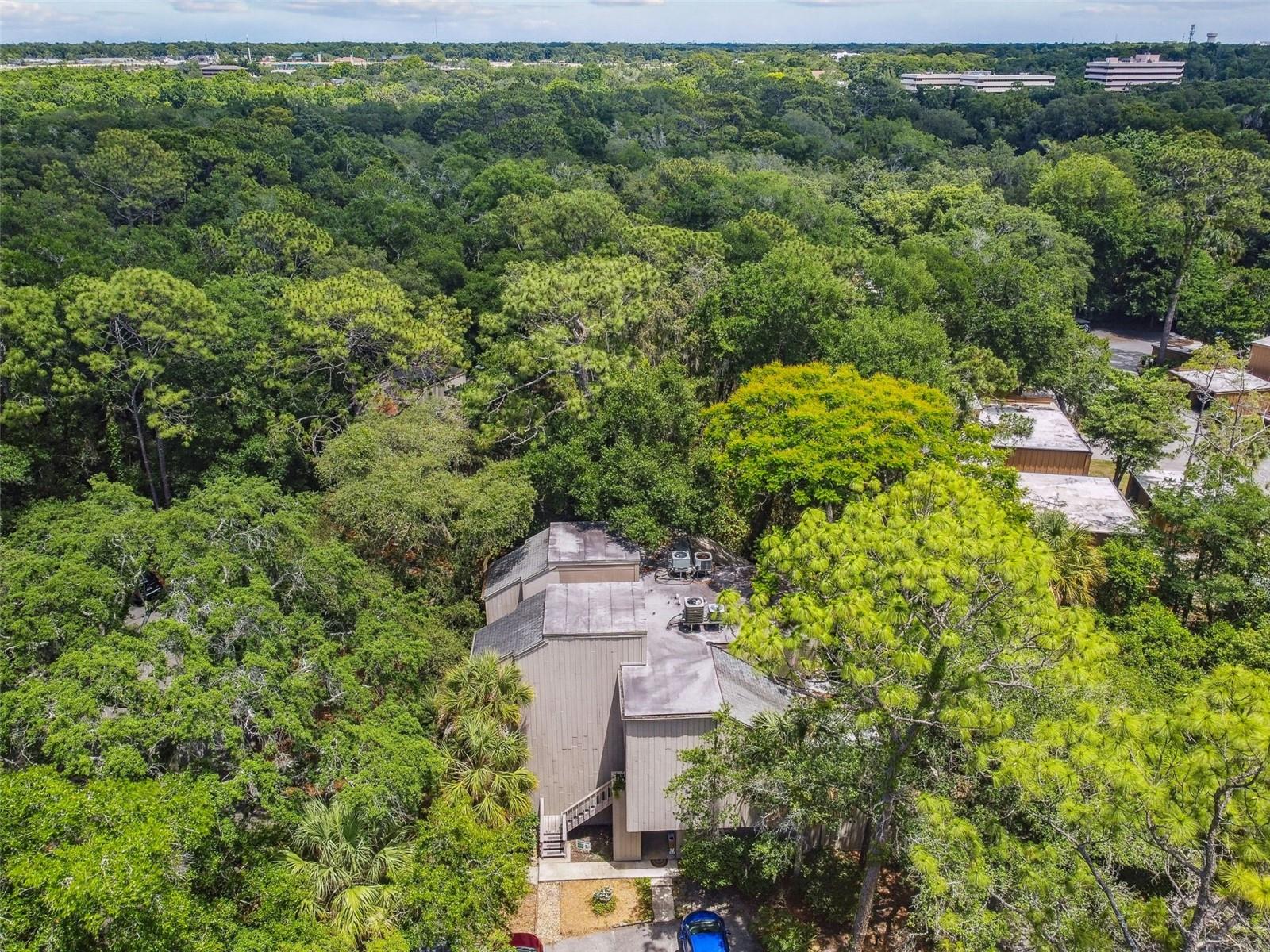 213 CROWN OAKS WAY #213, LONGWOOD, FL, 32779