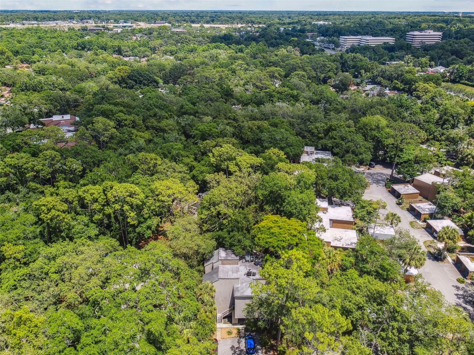 213 CROWN OAKS WAY #213, LONGWOOD, FL, 32779