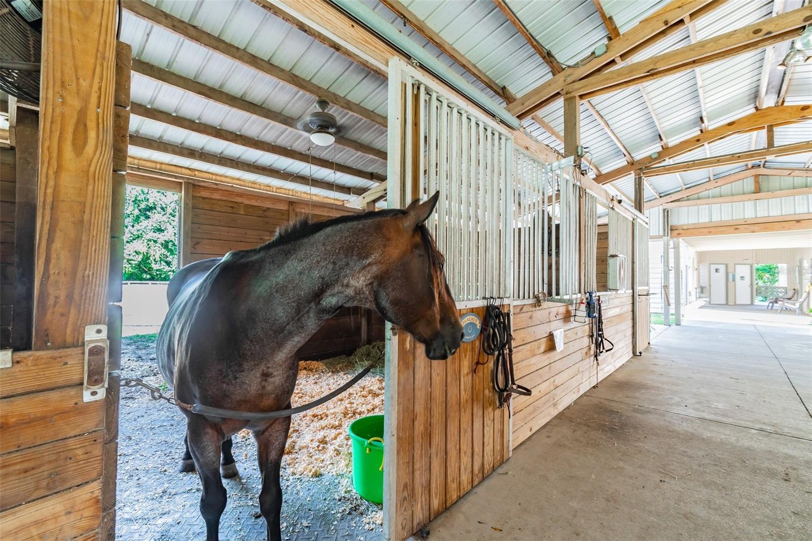 213 CROWN OAKS WAY #213, LONGWOOD, FL, 32779