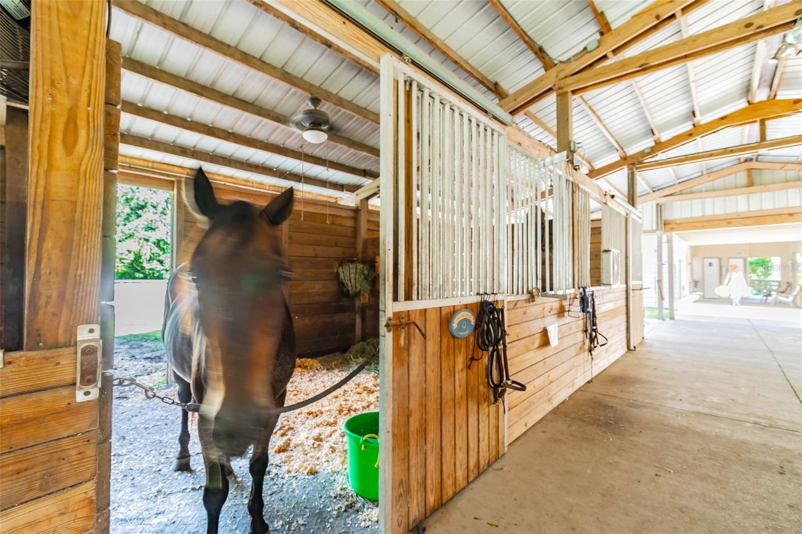 213 CROWN OAKS WAY #213, LONGWOOD, FL, 32779