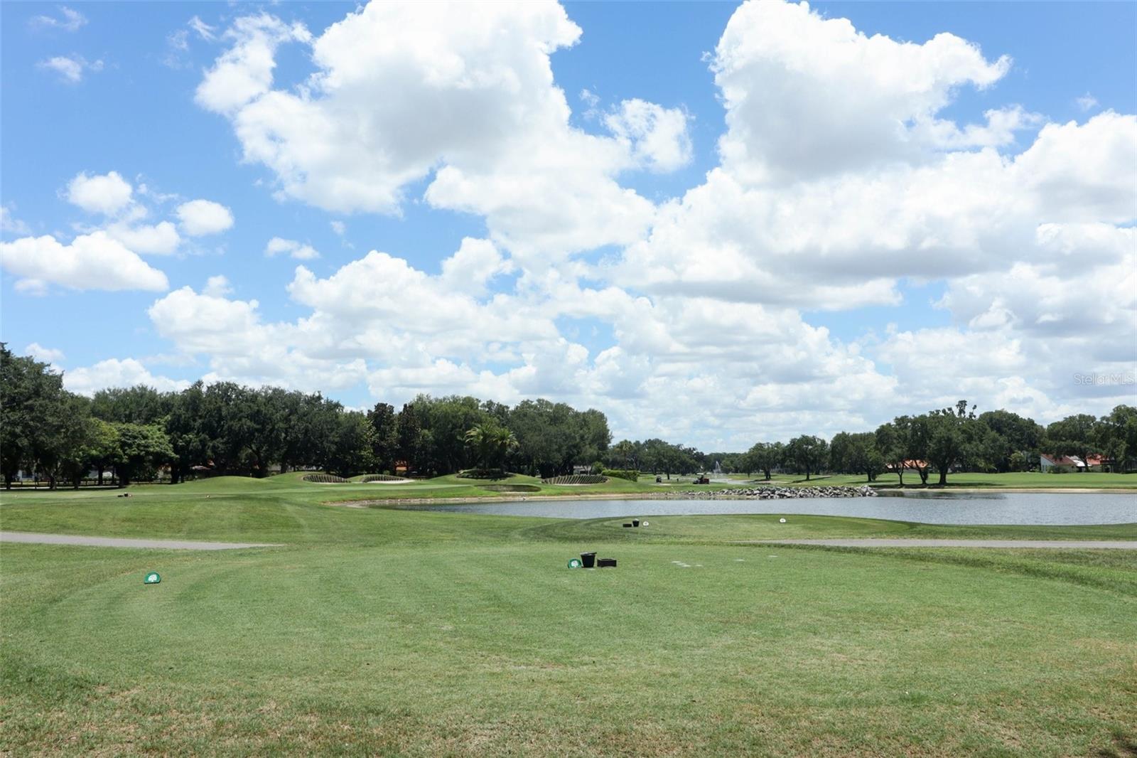 7308 PINEMOUNT DR, ORLANDO, FL, 32819