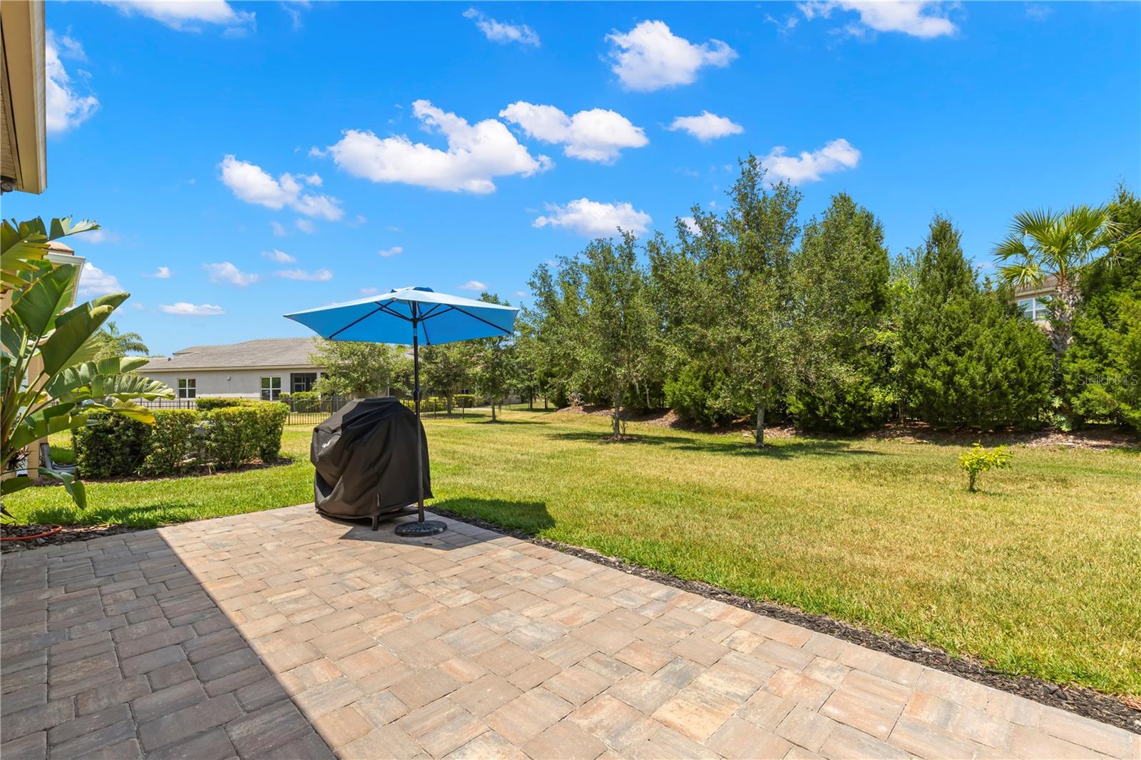 31275 SPRUCEBERRY CT, WESLEY CHAPEL, FL, 33543