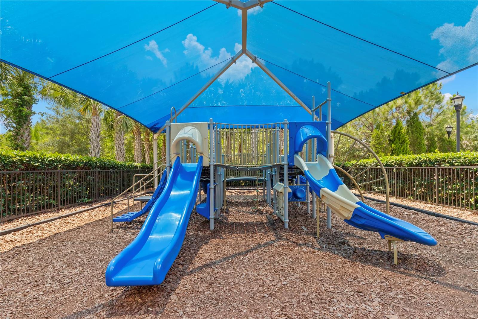 31275 SPRUCEBERRY CT, WESLEY CHAPEL, FL, 33543