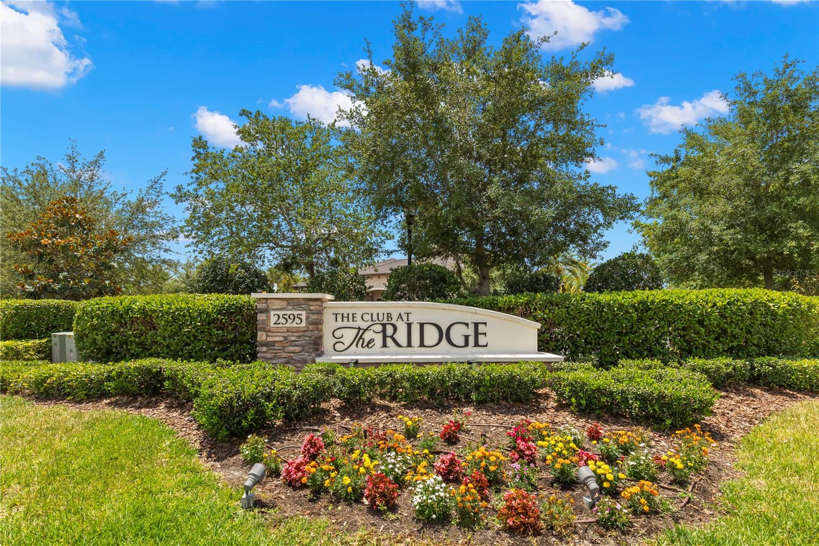31275 SPRUCEBERRY CT, WESLEY CHAPEL, FL, 33543