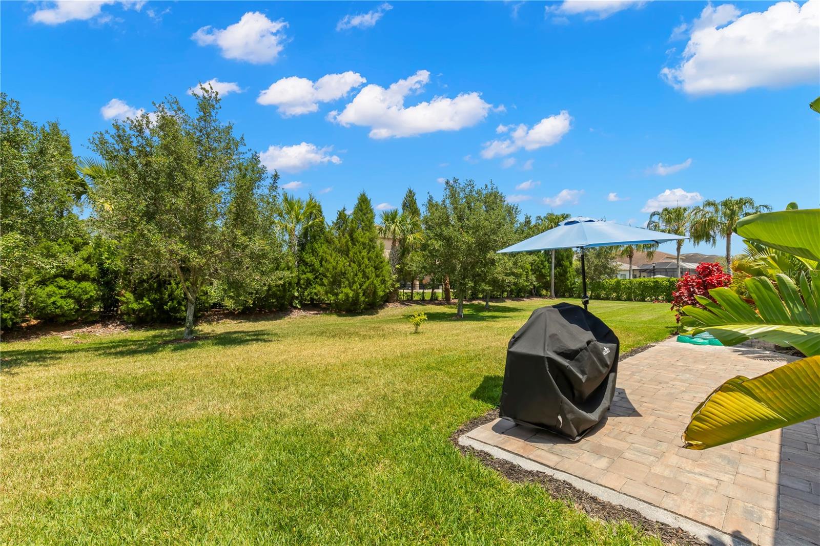 31275 SPRUCEBERRY CT, WESLEY CHAPEL, FL, 33543