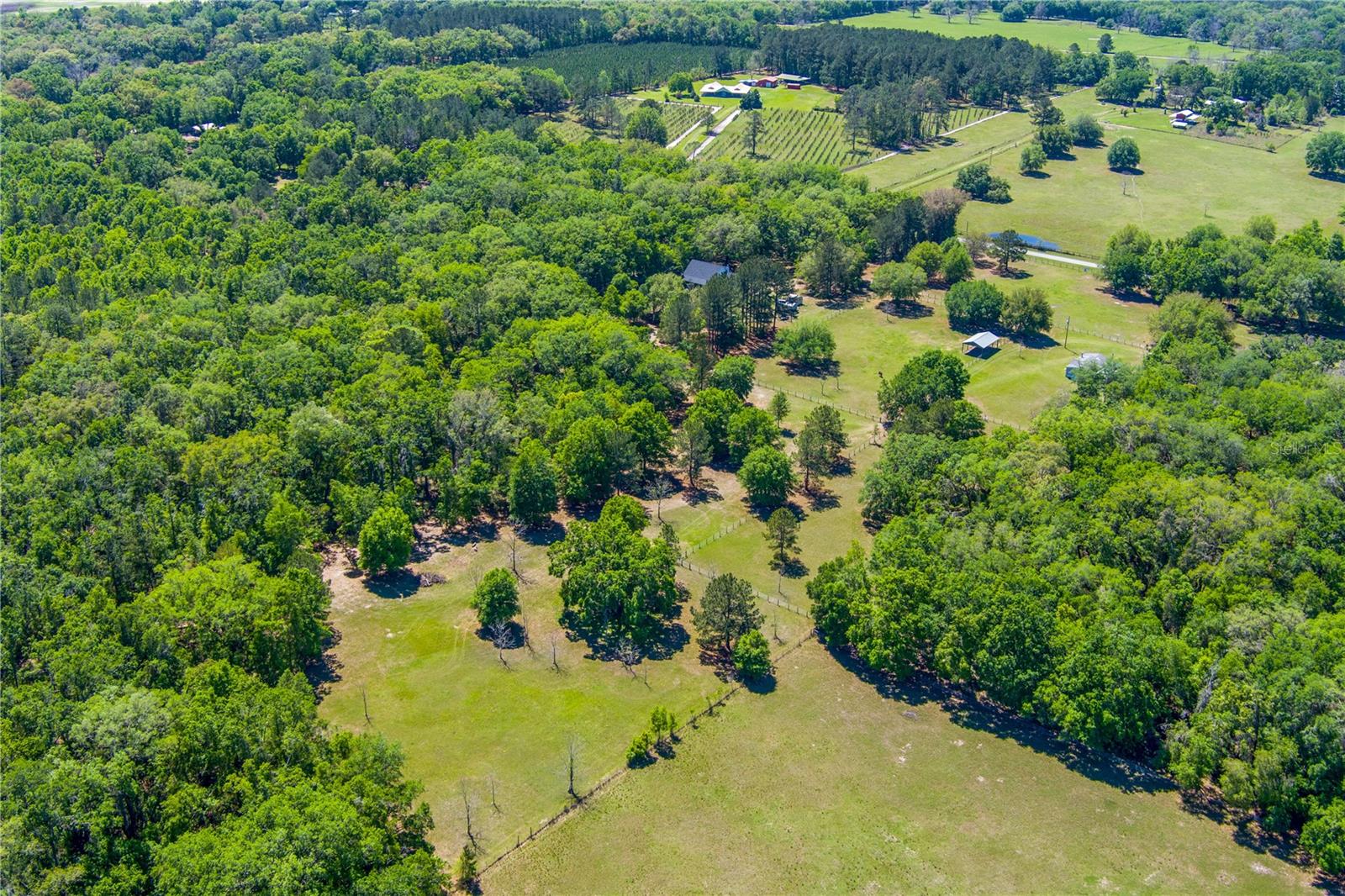17018 53RD RD, WELLBORN, FL, 32094