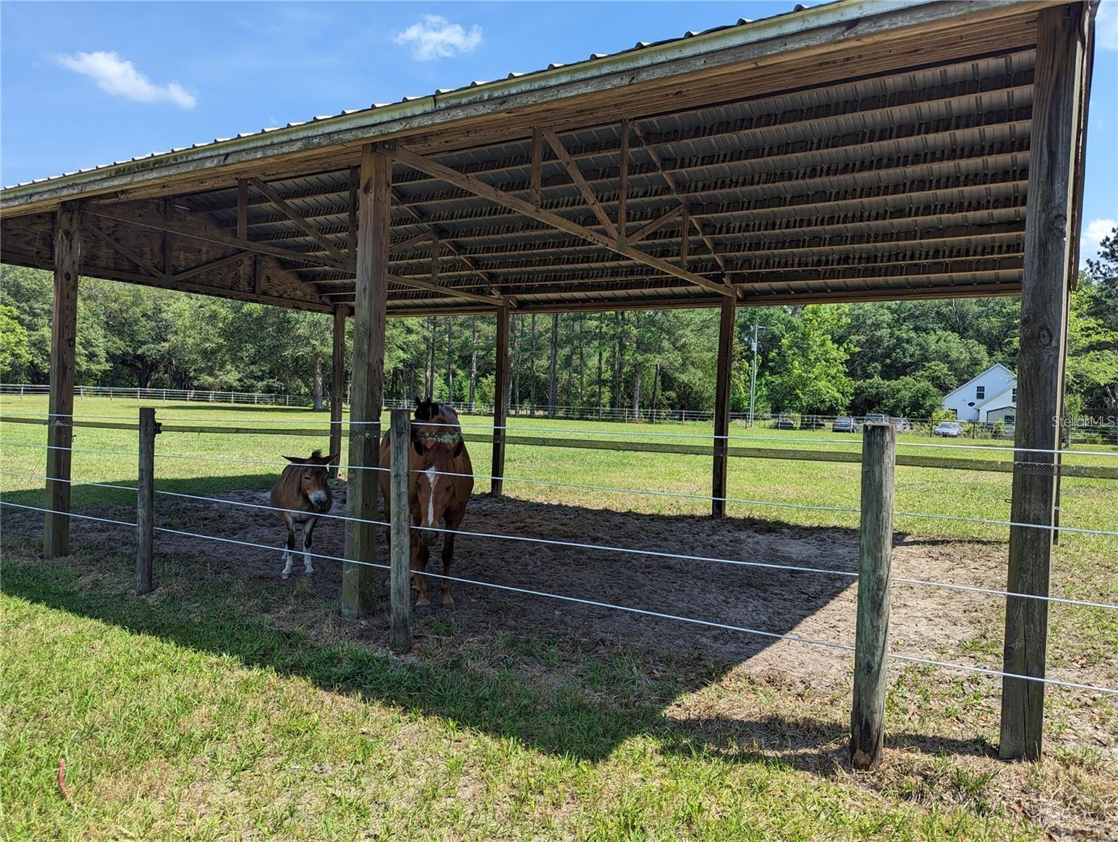 17018 53RD RD, WELLBORN, FL, 32094