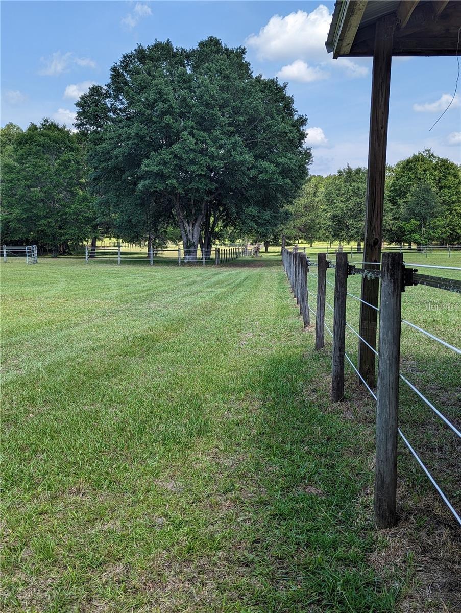 17018 53RD RD, WELLBORN, FL, 32094
