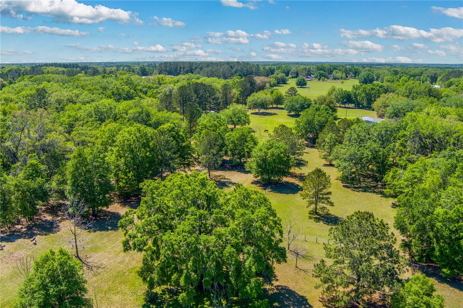 17018 53RD RD, WELLBORN, FL, 32094