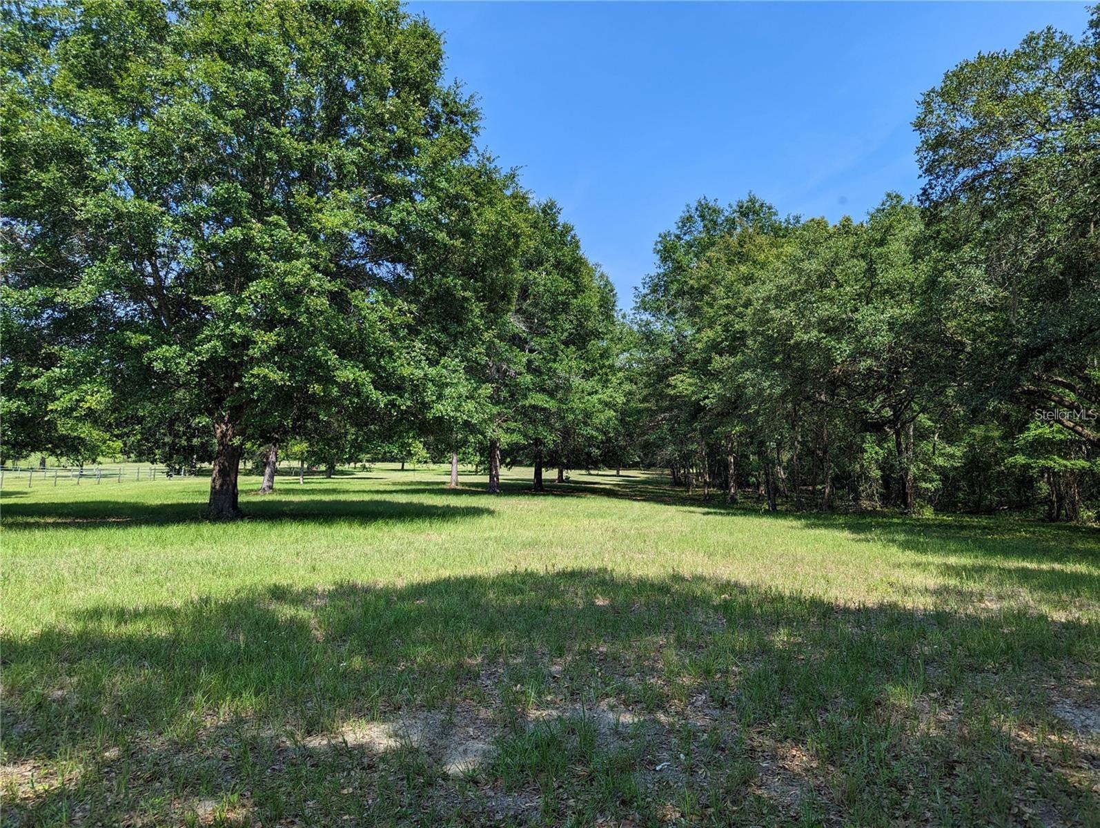 17018 53RD RD, WELLBORN, FL, 32094