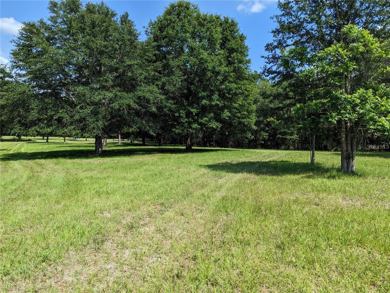 17018 53RD RD, WELLBORN, FL, 32094