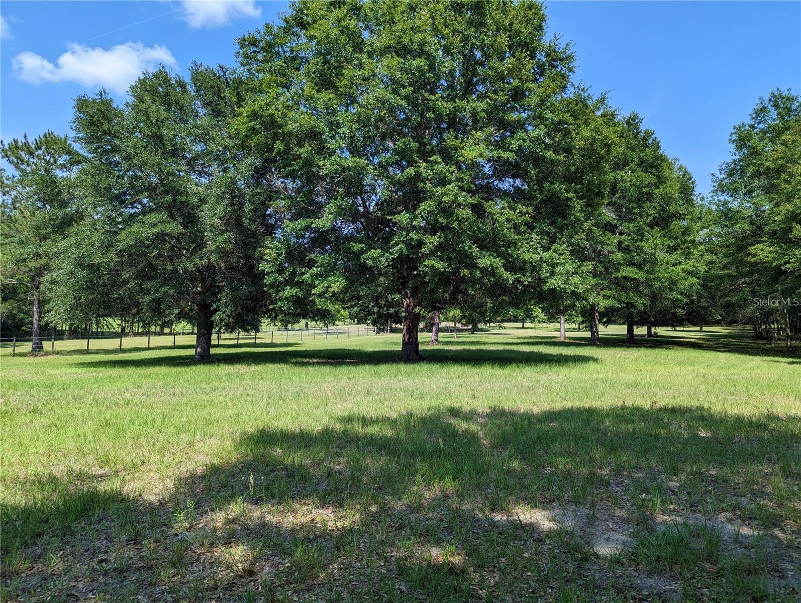 17018 53RD RD, WELLBORN, FL, 32094