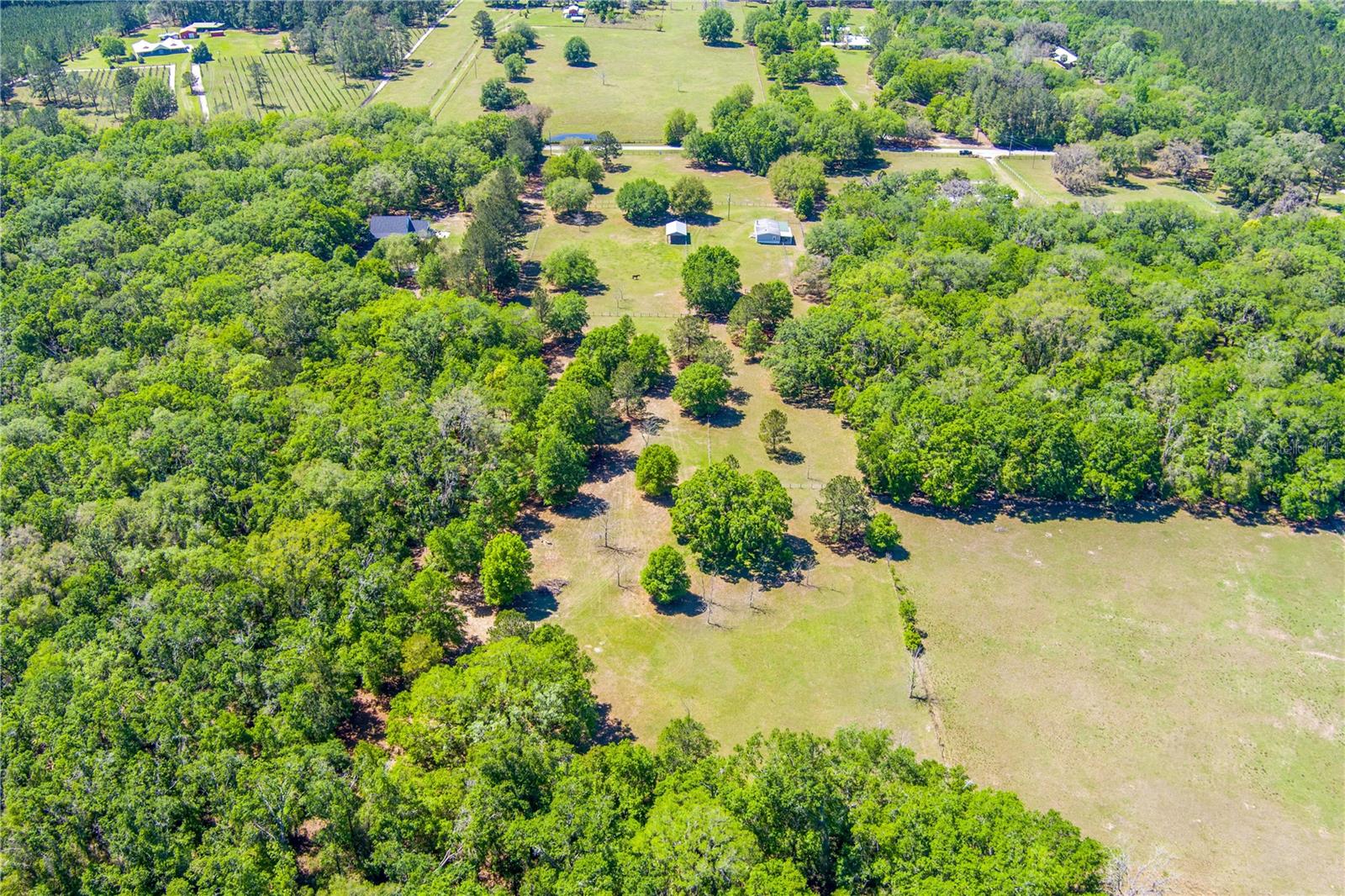 17018 53RD RD, WELLBORN, FL, 32094