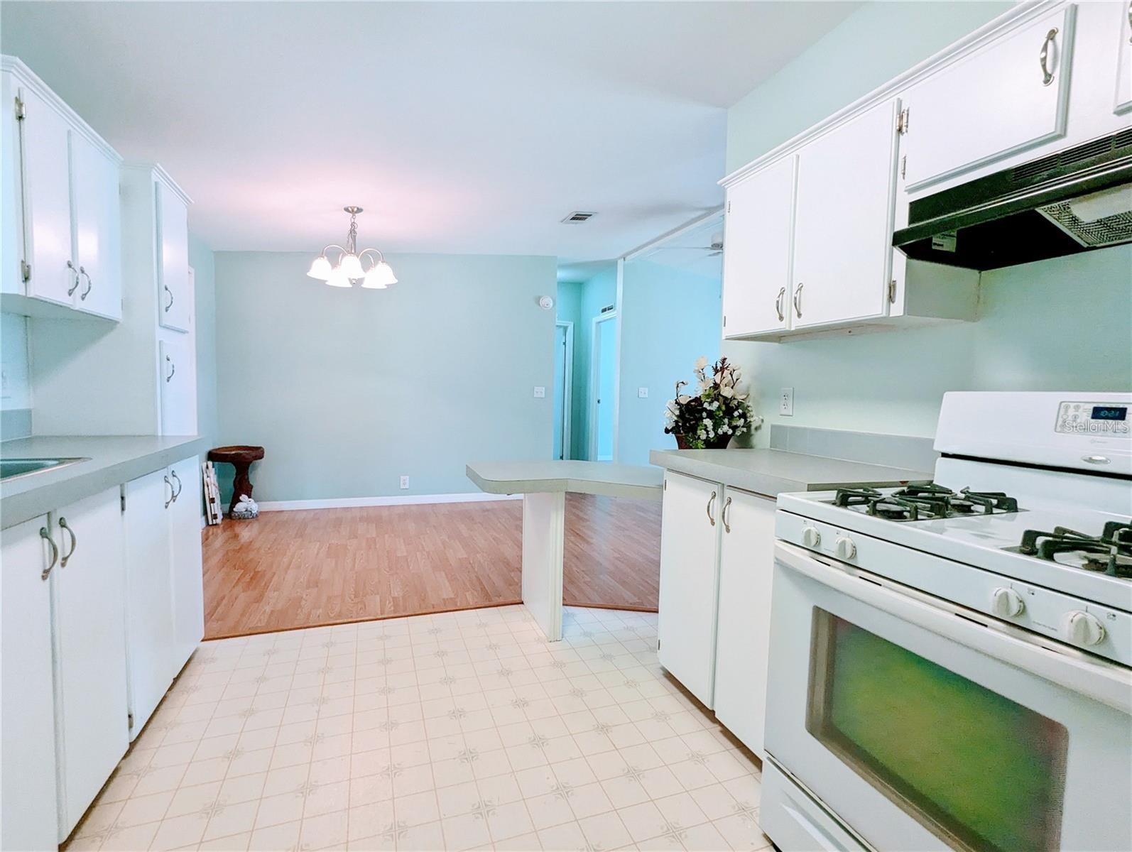 17018 53RD RD, WELLBORN, FL, 32094